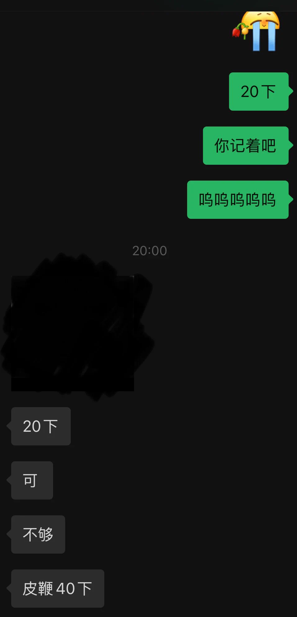 喜提皮鞭40下😭起因是答应给爸爸看日记但是忘记给爸爸拍照了呜呜 https://t.co/vO4xYX0ksV