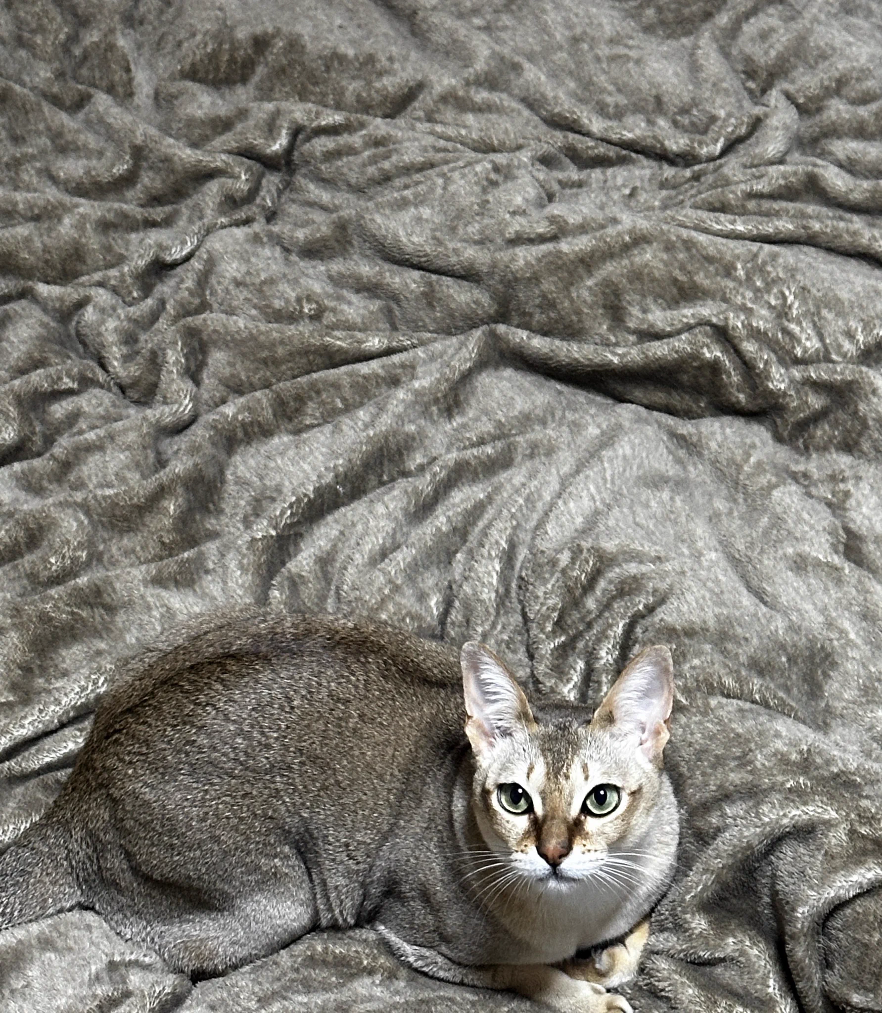 隠れ身の術 https://t.co/Fsebawgl7B