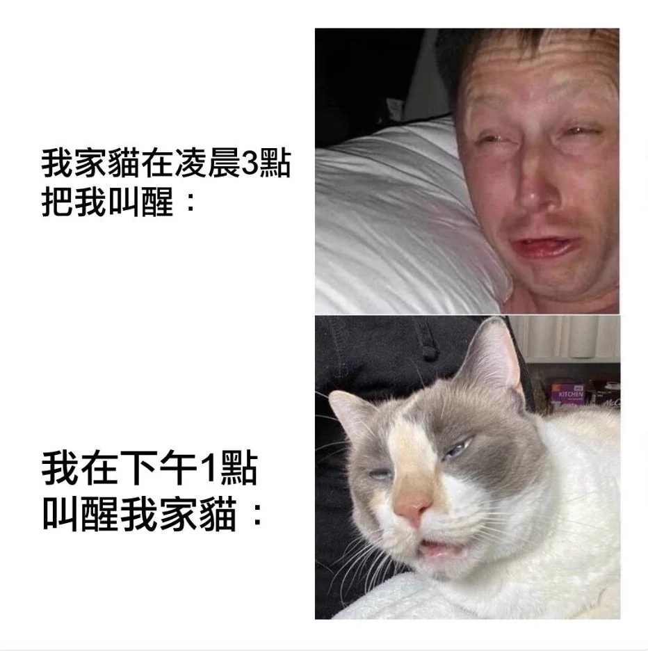 https://t.co/8r3zGAThS3