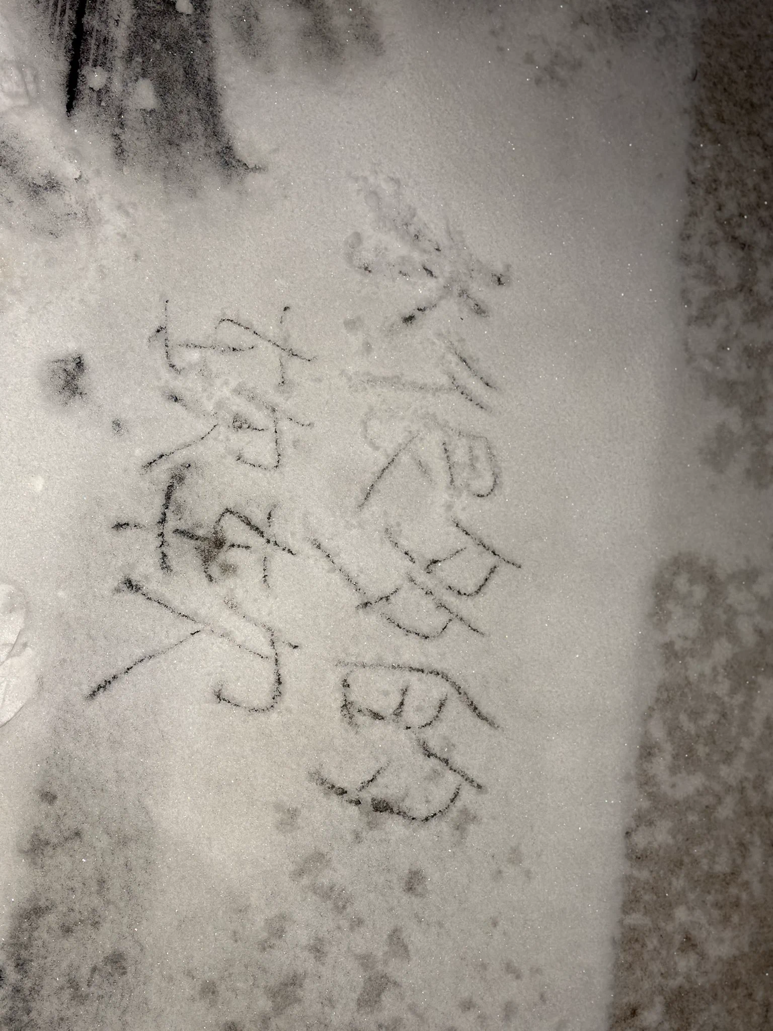 呜呜呜去年的北京初雪❄️好怀念🤔第一次看到雪😭当时发现一个入门好久的老板和我住同一个小区 都在泰禾诶有时候感觉缘分好奇妙哦也许不经意间的路过旁边那个人就是我或者你早已认识我了 ？🥶🥶🤤 https://t.co/0WrJCGmd0U