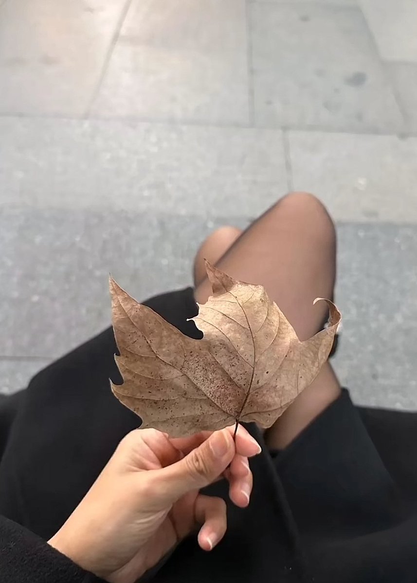 今天杭州天气很好！蓝天、银杏树……我想看看你手机里今天的风景，我来点评❤️❤️ https://t.co/wQkkYZsjT5