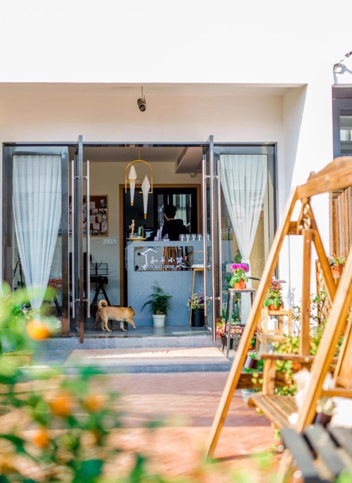 Selecting a comfortable homestay is the priority of many travelers✨. Here are three recommended lodgings in #Binhu district, #Wuxi – Peace Lodge, Maji Guishanju, and Fanyi Shanju,💕which were recently upgraded to national-level homestays. 🫶Feel free to peruse the photos below and pick your favorite🥰! #ExploreBinhu #Jiangsu