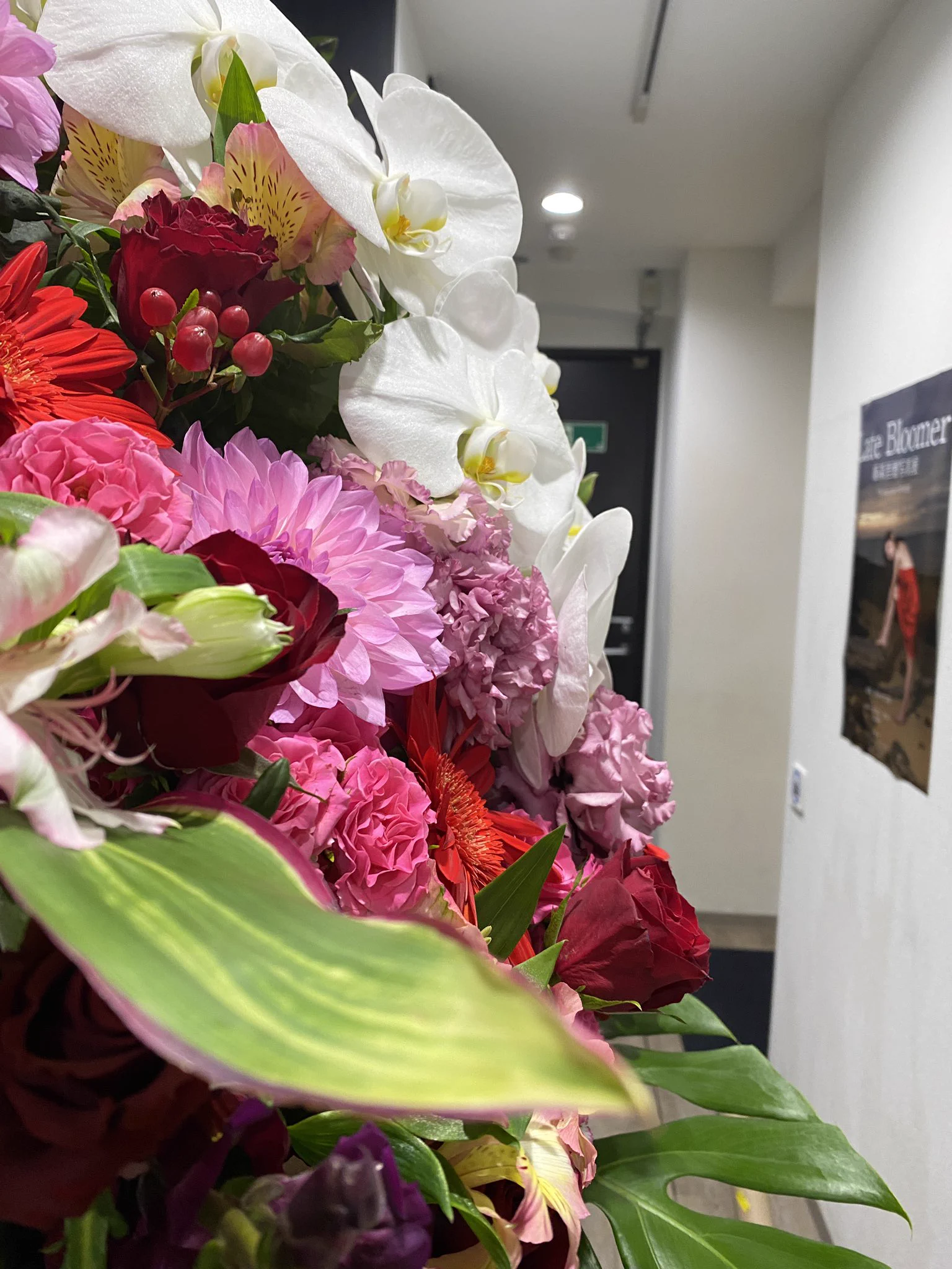 明日から写真展今日は搬入と設営でした。#藤森里穂https://t.co/dtmMHFBMWI https://t.co/WpuLtBpl3m