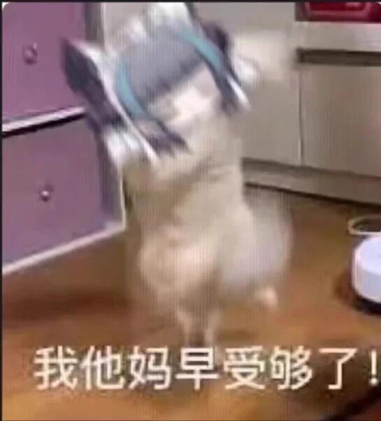 我最烦别人问我哪里的小时候跟着妈妈她不停改嫁换地方我就变成另外一个地方人因为改嫁的频繁 我总是在一个地方呆不久也导致我没有好朋友每次别人问我你是xx的那你会说xx话不……我说我不会……然后对方就会有不能理解的反应…像是在审视一个撒谎的坏孩子一样……🫠毁灭吧！以后统一回复我埃及吧人 https://t.co/apxMJi8Uv4