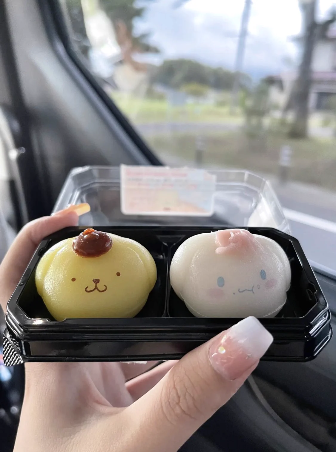 pompompurin &amp; cinamoroll mochi https://t.co/aX3n6enyC0