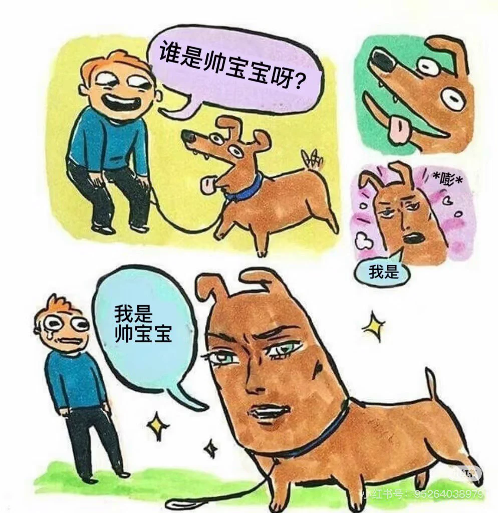下次再发黑丝足穴 https://t.co/QpXqh5JBgN