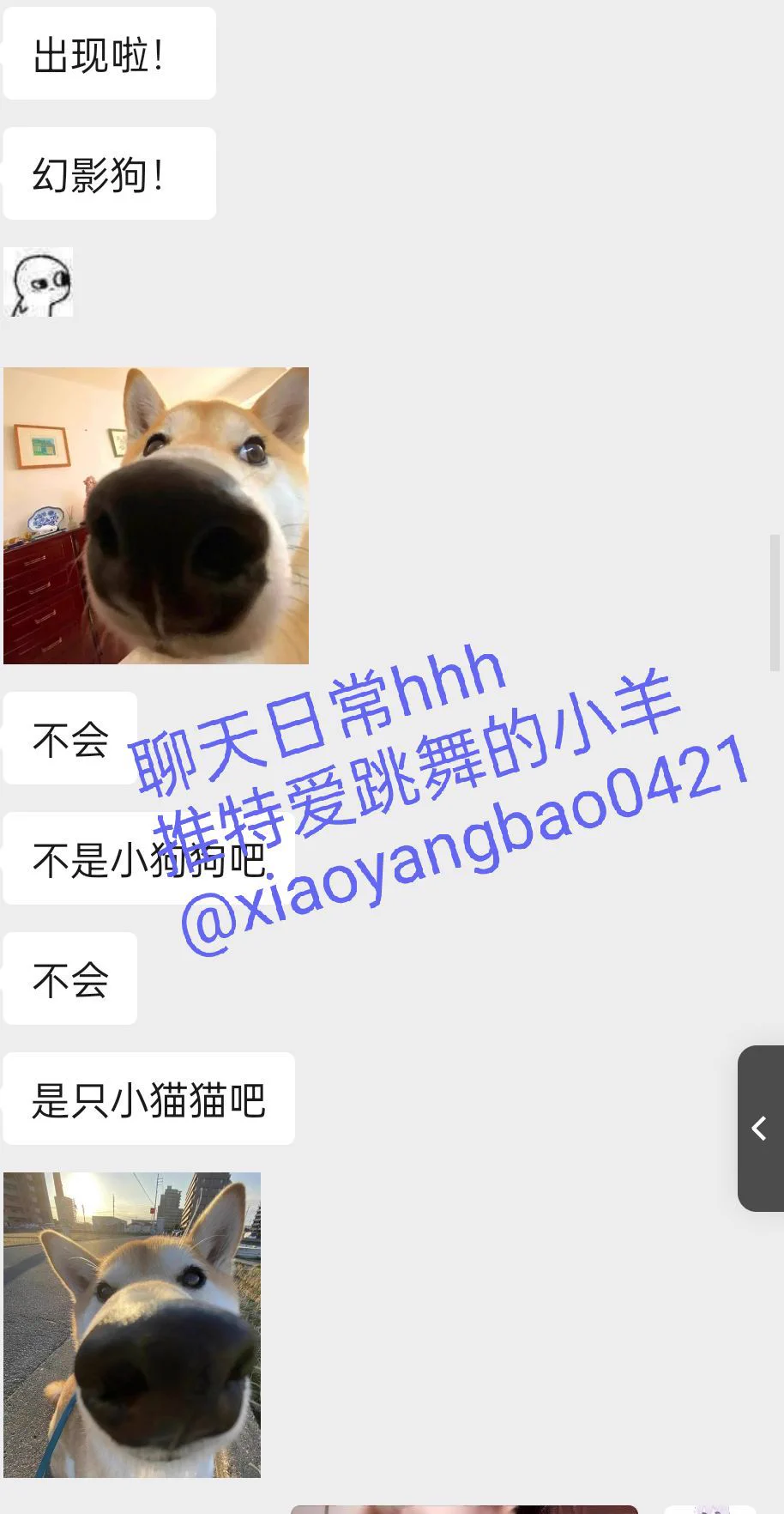 🐏宝和🚪哥的聊天日常 很轻松愉快~ 🥳 就像有个小女友一样 被哥哥升级解锁🔒vip朋友圈入门可以聊天(˵¯͒〰¯͒˵) 聊色色 聊日常 朋友圈有大尺度美照视频看哦 超级带劲!💕💕图1和🚪哥聊天日常（infp小宝宝不用担心聊天尴尬哦 我会主动滴 情趣价值拉满）图三图四vip朋友圈更新日常 好看!大尺度 带劲 https://t.co/cAJ518gQFW