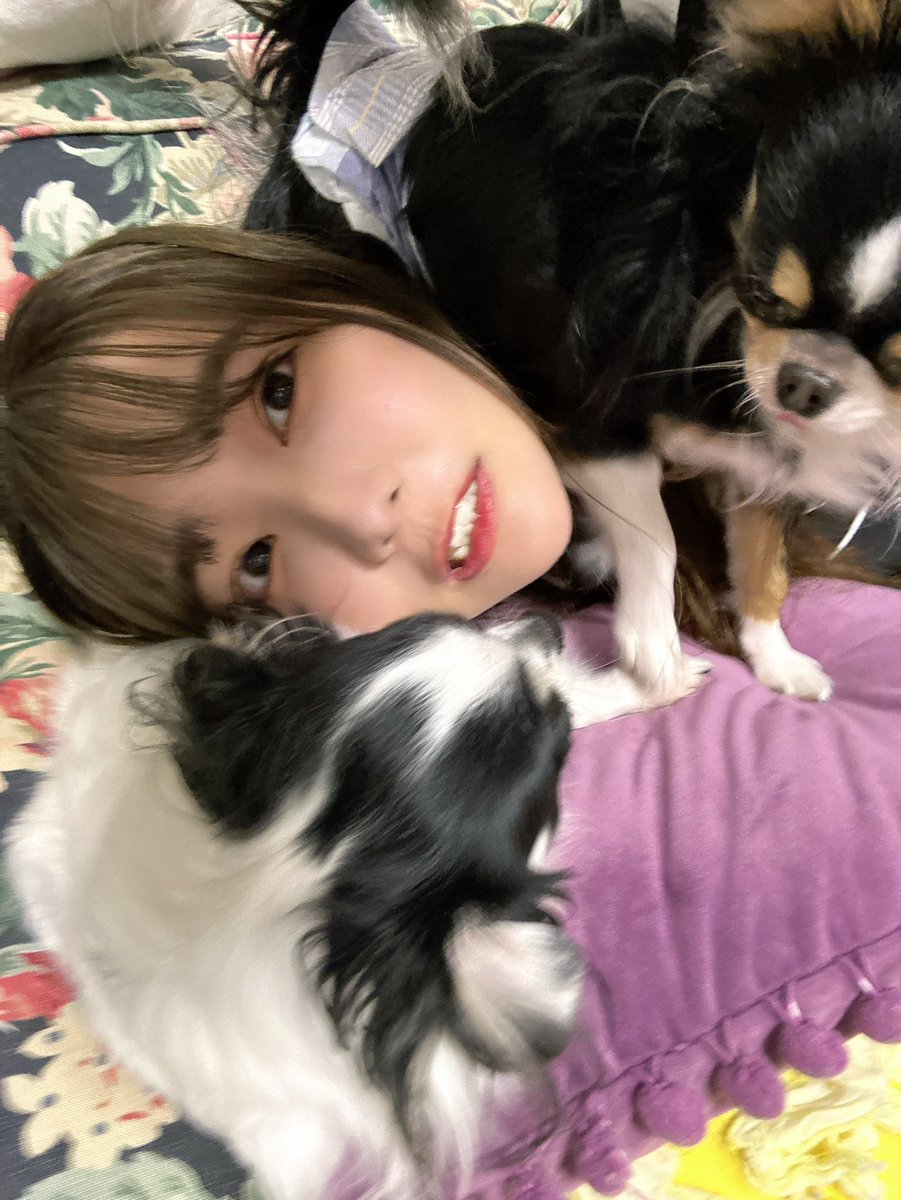 #ヒロインズカウントダウン ありがとうございました💜
年内ラストライブだったのに写真を撮り損ねたぁあ😭から5日目のジャージとボサ髪で許して🙇🏻‍♀️🙇🏻‍♀️なう写真すぎ

2024年もありがとうございました！
来年はもっとみんなに楽しんでもらえる居場所作りが出来るよう頑張るぞ💪

来年もみんなの居場所に。 https://t.co/CaMORgZnhY