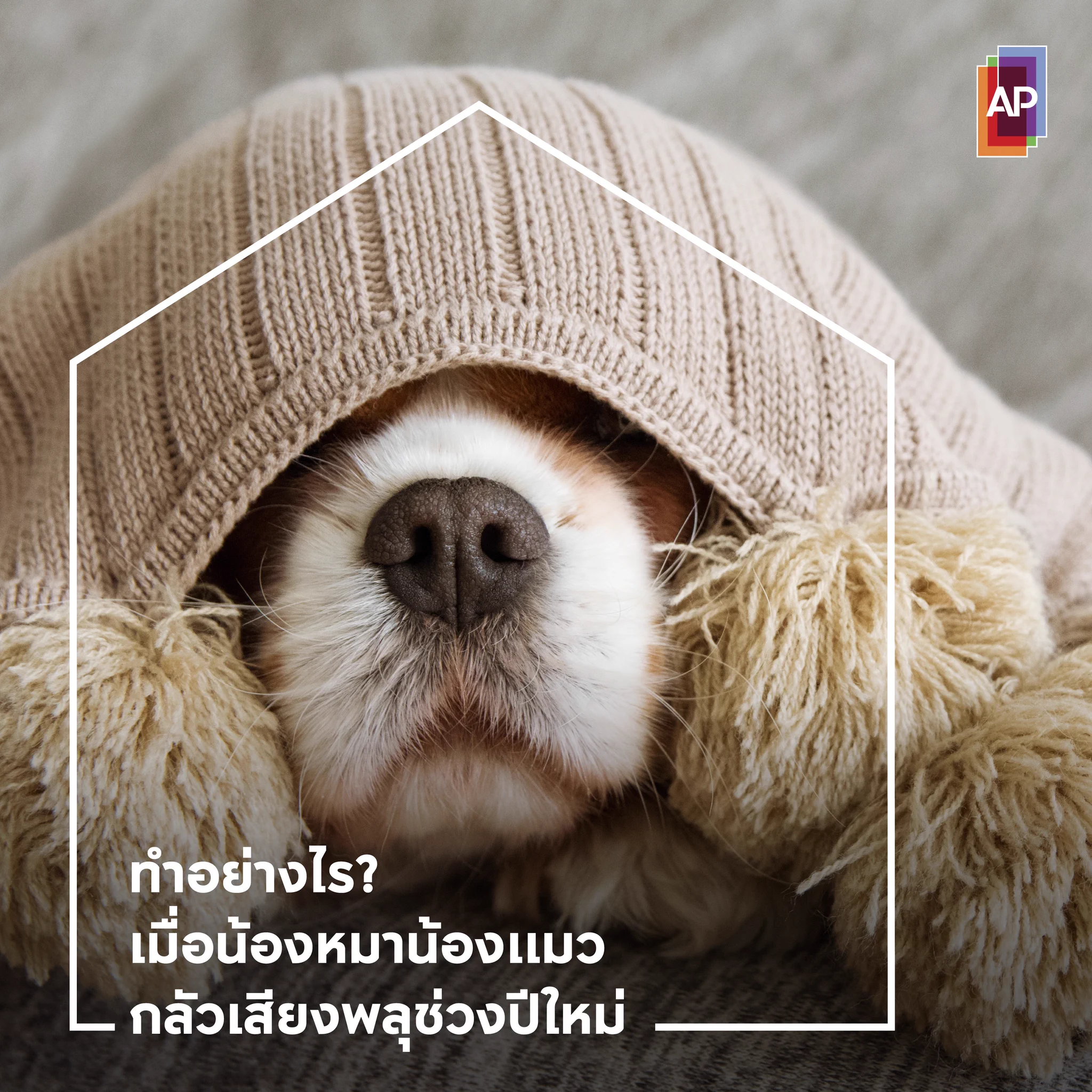 How to ป้องกันน้องหมาน้องแมวหนีเตลิดเพราะพลุปีใหม่🎆ให้เขาอยู่ในพื้นที่ปิดและเป็นเซฟโซน🎆ปิดประตู หน้าต่าง และม่าน เพื่อลดเสียงและแสงจากพลุ🎆เปิดทีวีเสียงดังๆ กลบเสียงพลุนอกบ้าน🎆เบี่ยงเบนความสนใจด้วยขนมหรือของเล่น🎆ติดป้ายชื่อและเบอร์โทรไว้ เผื่อน้องๆ หนีเตลิดหลุดออกจากบ้าน#APThai #ชีวิตดีๆที่เลือกเองได้ #APLivingseries
