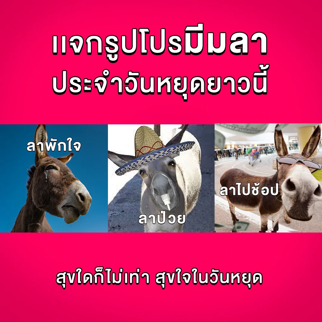 หยุดยาวนี้ มีรูปลาเป็นของตัวเองหรือยัง 🏝️ลาที่ดีคือลาซาด้าช้อปเลยไม่เสียเวลา ไม่ต้องเทียบ!🛒ช้อปลาซาด้า ราคาดีไม่ต้องเทียบ ไปช้อปเลย 📲 https://t.co/xmGz7Iy3hc#ลาซาด้าราคาดีกว่าไม่ต้องเทียบ #การันตีราคาถูก #LazadaTH https://t.co/zHvsH7Rp8i