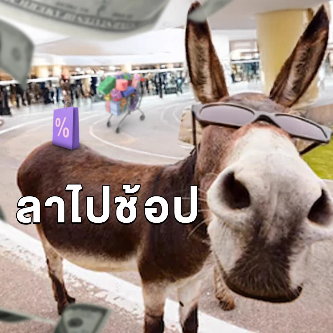 หยุดยาวนี้ มีรูปลาเป็นของตัวเองหรือยัง 🏝️ลาที่ดีคือลาซาด้าช้อปเลยไม่เสียเวลา ไม่ต้องเทียบ!🛒ช้อปลาซาด้า ราคาดีไม่ต้องเทียบ ไปช้อปเลย 📲 https://t.co/xmGz7Iy3hc#ลาซาด้าราคาดีกว่าไม่ต้องเทียบ #การันตีราคาถูก #LazadaTH https://t.co/zHvsH7Rp8i