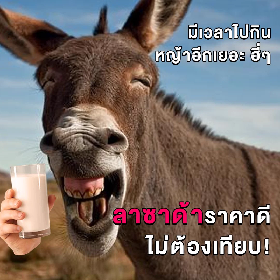 หยุดยาวนี้ มีรูปลาเป็นของตัวเองหรือยัง 🏝️ลาที่ดีคือลาซาด้าช้อปเลยไม่เสียเวลา ไม่ต้องเทียบ!🛒ช้อปลาซาด้า ราคาดีไม่ต้องเทียบ ไปช้อปเลย 📲 https://t.co/xmGz7Iy3hc#ลาซาด้าราคาดีกว่าไม่ต้องเทียบ #การันตีราคาถูก #LazadaTH https://t.co/zHvsH7Rp8i