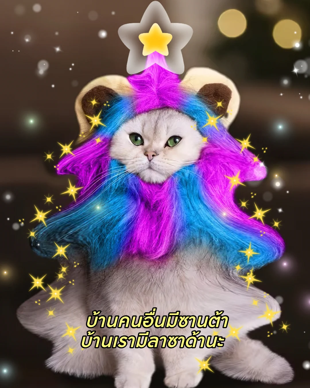 😽 คริสมาสต์ คริสแมว คริสคริสแล้ว เราว่าช้อปที่ลาซาด้า มันดีกว่าจริงจริงนะะะะ🎄 ช้อปฉลองทุกเทศกาลไปกับลาซาด้า ราคาดีกว่า ไม่ต้องเทียบ! 🚛 ส่งฟรีไม่มีขั้นต่ำ*✅ การันตีราคาถูก*📲 ไปช้อปกันได้เลยยย*เงื่อนไขเป็นไปตามที่บริษัทฯกำหนด อ่านรายละเอียดได้ที่ ลาซาด้าแอปพลิเคชัน หรือ https://t.co/P63ihfaYXE#LazadaTH #ลาซาด้าราคาดีกว่าไม่ต้องเทียบ #ลาซาด้ากับราคาที่ดีกว่า