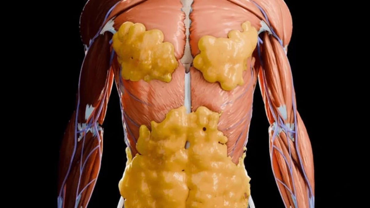 有氧运动不燃烧脂肪，甚至超强度的cardio可能会减缓新陈代谢真正有效的减脂方法，很多人不知道： https://t.co/Yr33Dt3mQj