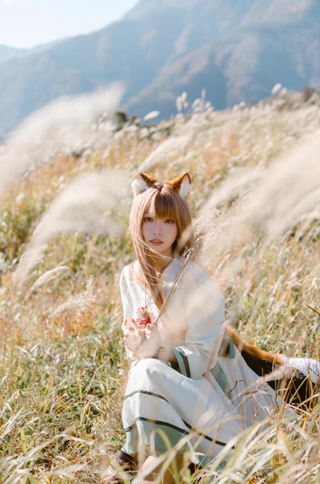 狼と草原の詩C105の新刊写真集に収録されます🌾 https://t.co/jjamVWkLWU