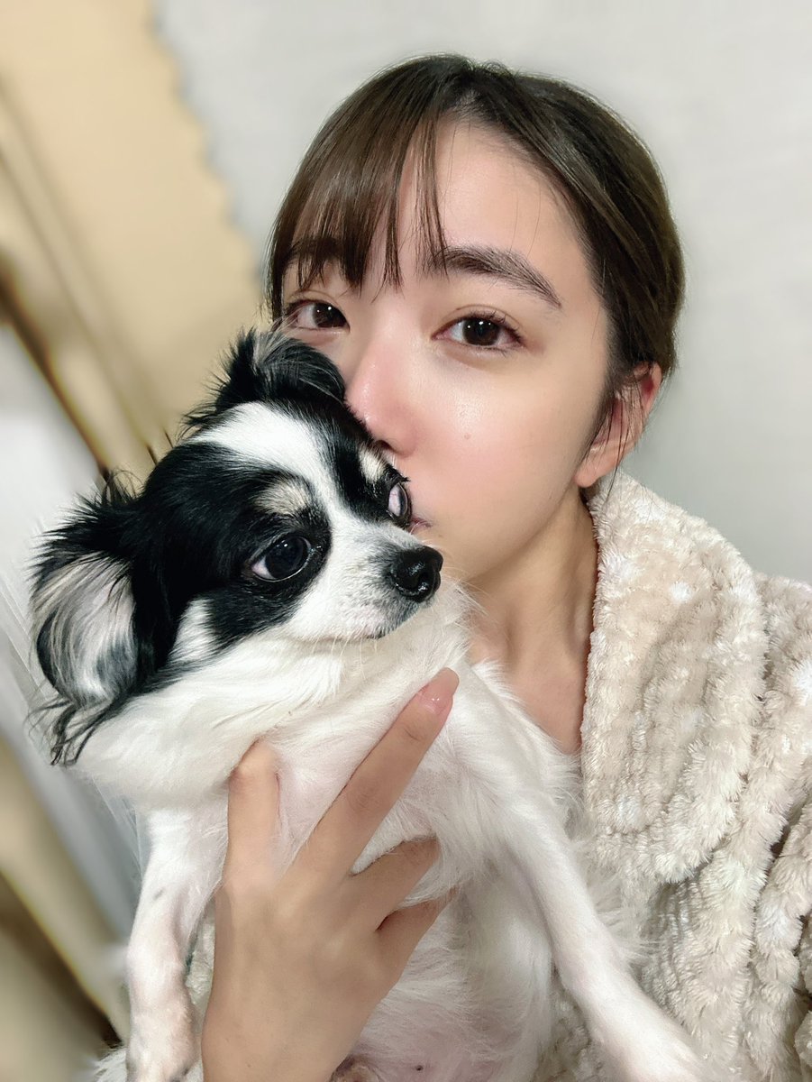 日付変わってクリスマスだワン
お風呂は朝風呂だけど顔は洗ったえらいおやすみ〜😴(くますご！犬はシンバ) https://t.co/v3XWuNiQ5M