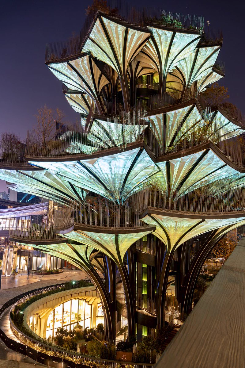 Check out Xi'an's new landmark - Xi'an Tree! 🌳 It is inspired by the thousand-year-old ginkgo tree at the Gu Guanyin Buddhist Temple (Ancient Guanyin Temple) in Xi'an. The structure rises to a height of 57 metres and features seven platforms that incorporate natural landscapes such as forested mountainsides 🌲 and highland moss 🌿, showcasing the diverse topography of Shaanxi Province. 🏞️#WindowtoUCLG