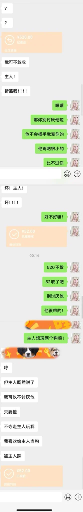 小鸡吧的废物，只配当奴下奴。为了讨好我，甚至，要给我宠爱的小狗贡钱。不过，我在想一个问题，这到底算不算绿帽？#榨金 #压榨#ATM奴 #女性崇拜 #女s https://t.co/06goltGDPt