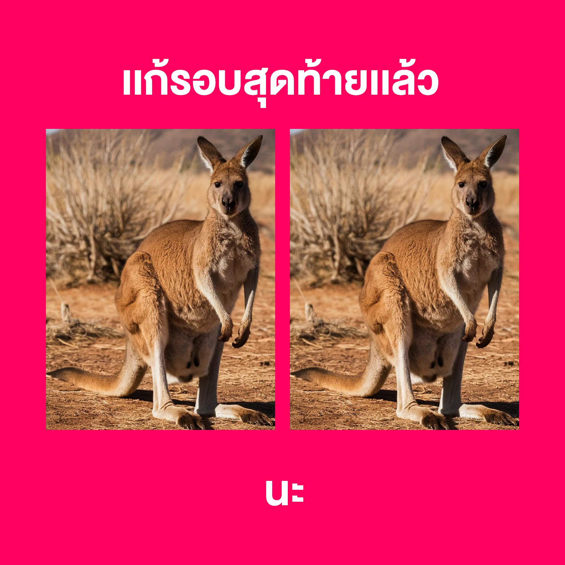 ปีที่แล้ว อะไรไม่ดีก็ 🐘 มันไปทำวันนี้ให้ดีที่สุด เริ่มจาก…ช้อปที่ลาซาด้าเลยยย เพราะราคาดีไม่ต้องเทียบบบ⏰‼️🛒ช้อปลาซาด้า ราคาดีไม่ต้องเทียบ ไปช้อปเลย 📲 https://t.co/tX9H7K9W8F#ลาซาด้าราคาดีไม่ต้องเทียบ #การันตีราคาถูก #LazadaTH https://t.co/zGRUBJWd5q