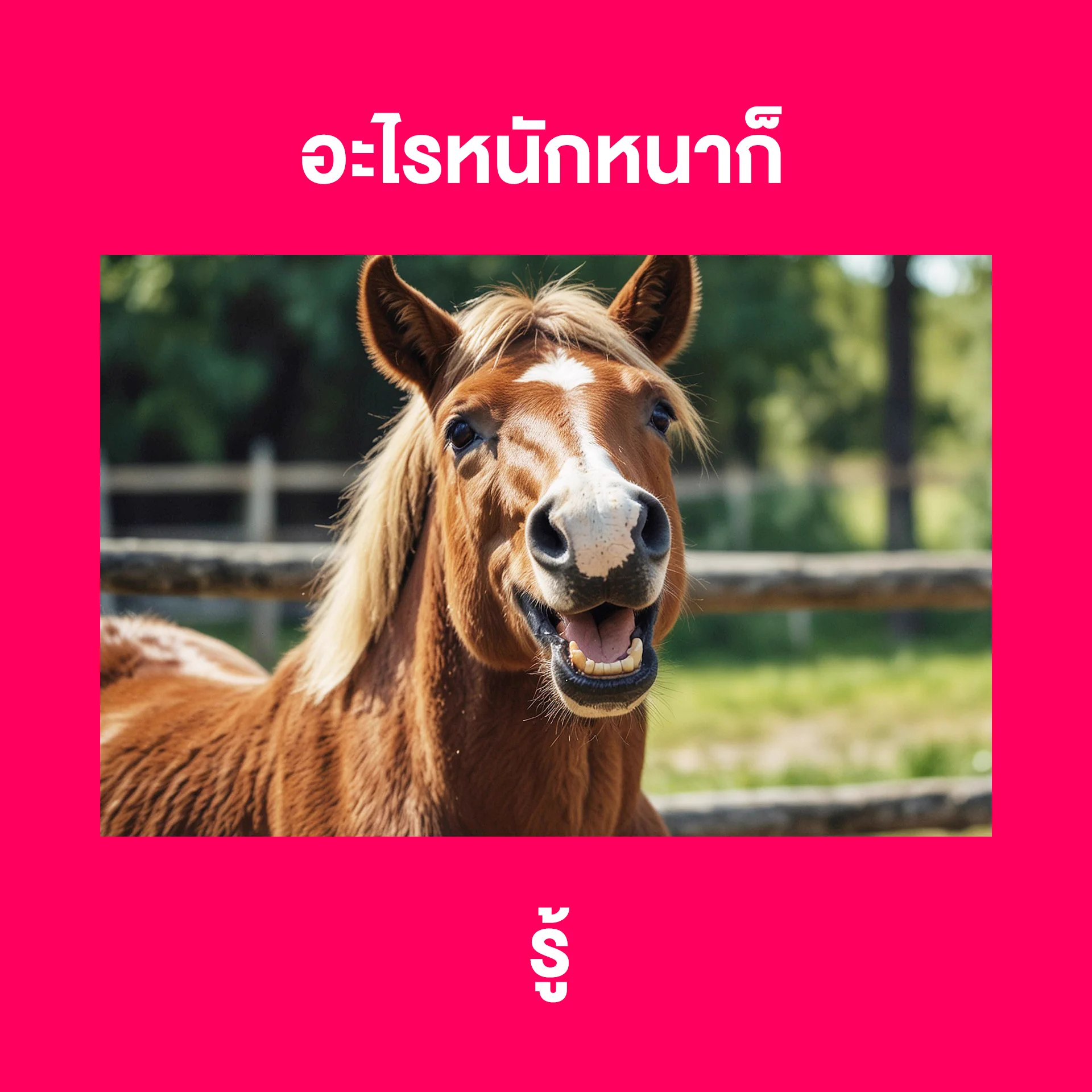 ปีที่แล้ว อะไรไม่ดีก็ 🐘 มันไปทำวันนี้ให้ดีที่สุด เริ่มจาก…ช้อปที่ลาซาด้าเลยยย เพราะราคาดีไม่ต้องเทียบบบ⏰‼️🛒ช้อปลาซาด้า ราคาดีไม่ต้องเทียบ ไปช้อปเลย 📲 https://t.co/tX9H7K9W8F#ลาซาด้าราคาดีไม่ต้องเทียบ #การันตีราคาถูก #LazadaTH https://t.co/zGRUBJWd5q
