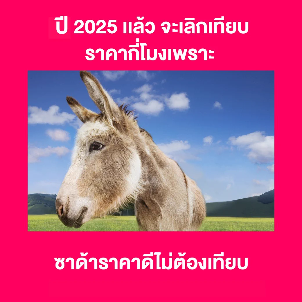 ปีที่แล้ว อะไรไม่ดีก็ 🐘 มันไปทำวันนี้ให้ดีที่สุด เริ่มจาก…ช้อปที่ลาซาด้าเลยยย เพราะราคาดีไม่ต้องเทียบบบ⏰‼️🛒ช้อปลาซาด้า ราคาดีไม่ต้องเทียบ ไปช้อปเลย 📲 https://t.co/tX9H7K9W8F#ลาซาด้าราคาดีไม่ต้องเทียบ #การันตีราคาถูก #LazadaTH https://t.co/zGRUBJWd5q
