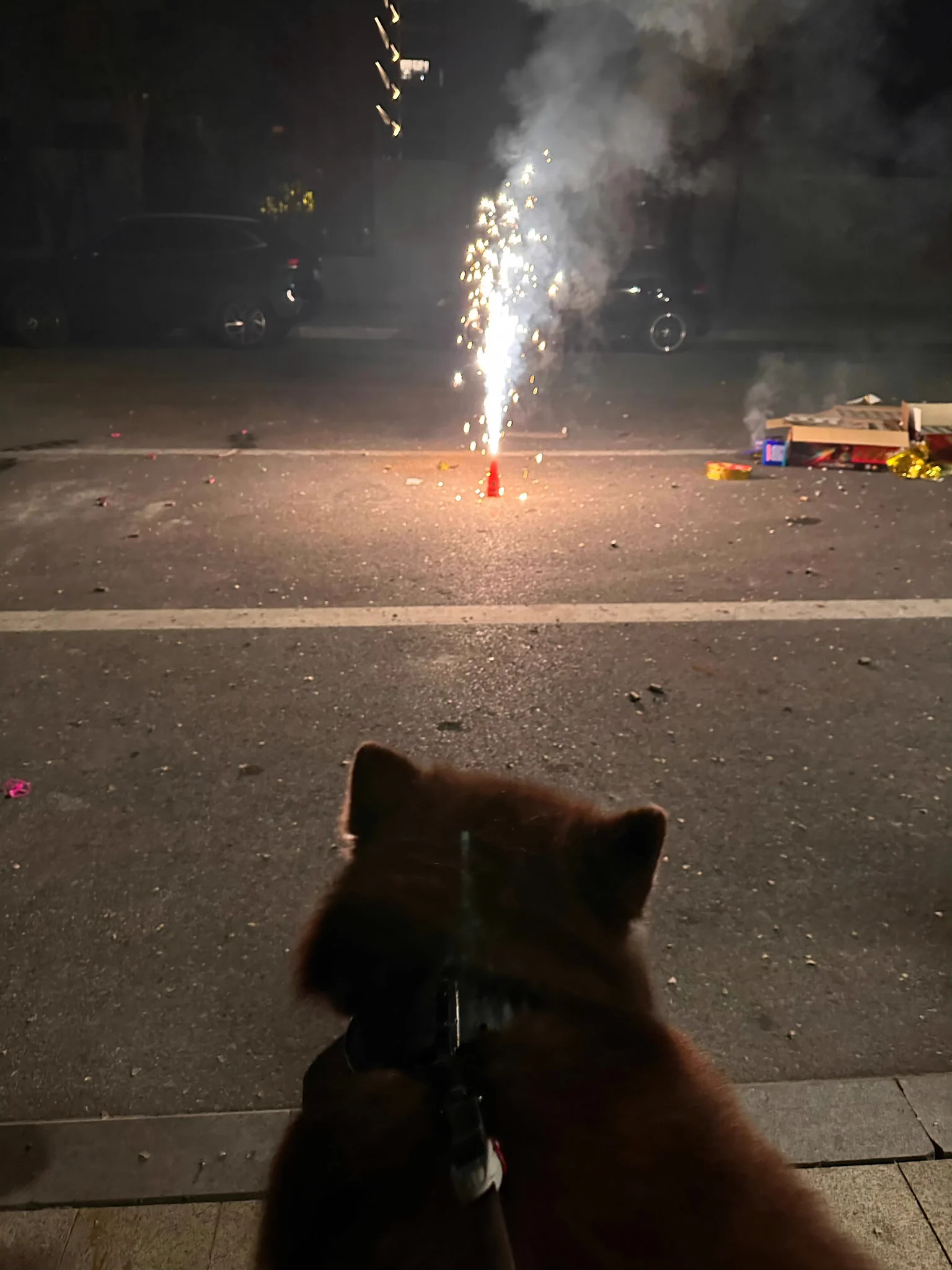 新年好 https://t.co/2UEFOt93LR