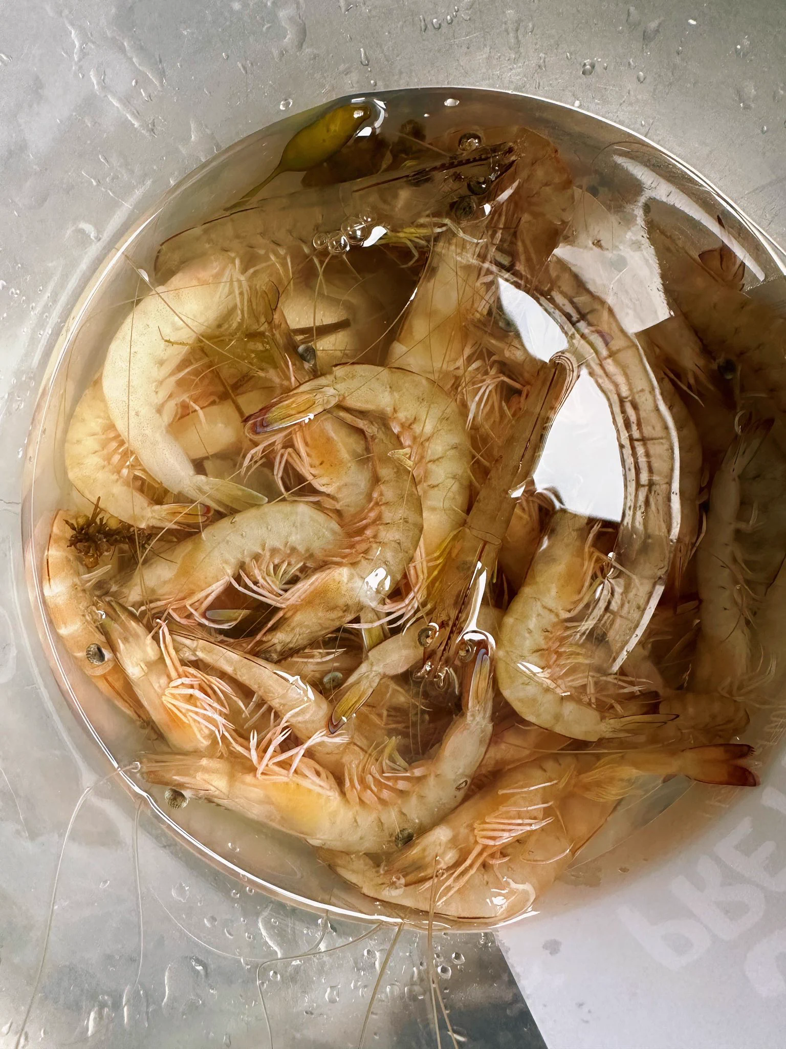 昨天抓的一虾，搞了一盘。😊朋友一起去的，他没要，都给我们了😉🦐🦐 https://t.co/P7splwGb86