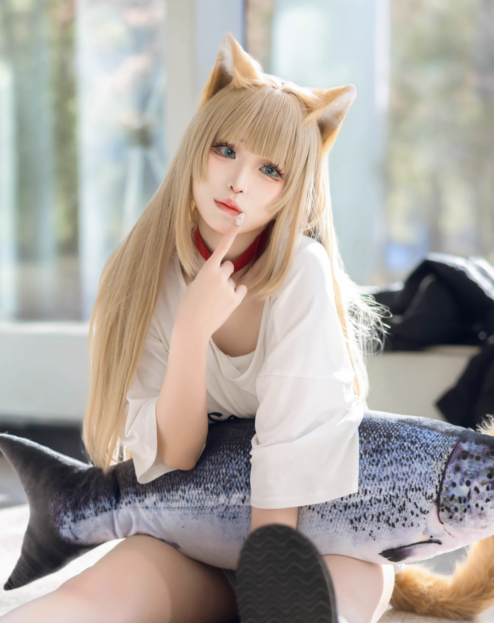 #うちのねこが女の子でかわいい https://t.co/N4USR6DLMF