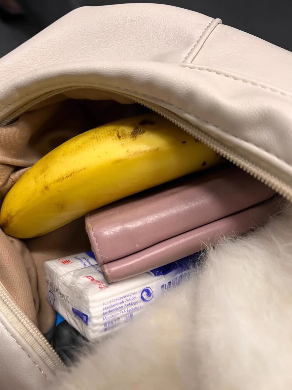 身為一個女網黃包包裡放一根香蕉應該不為過吧 https://t.co/2vOCh2CRxH