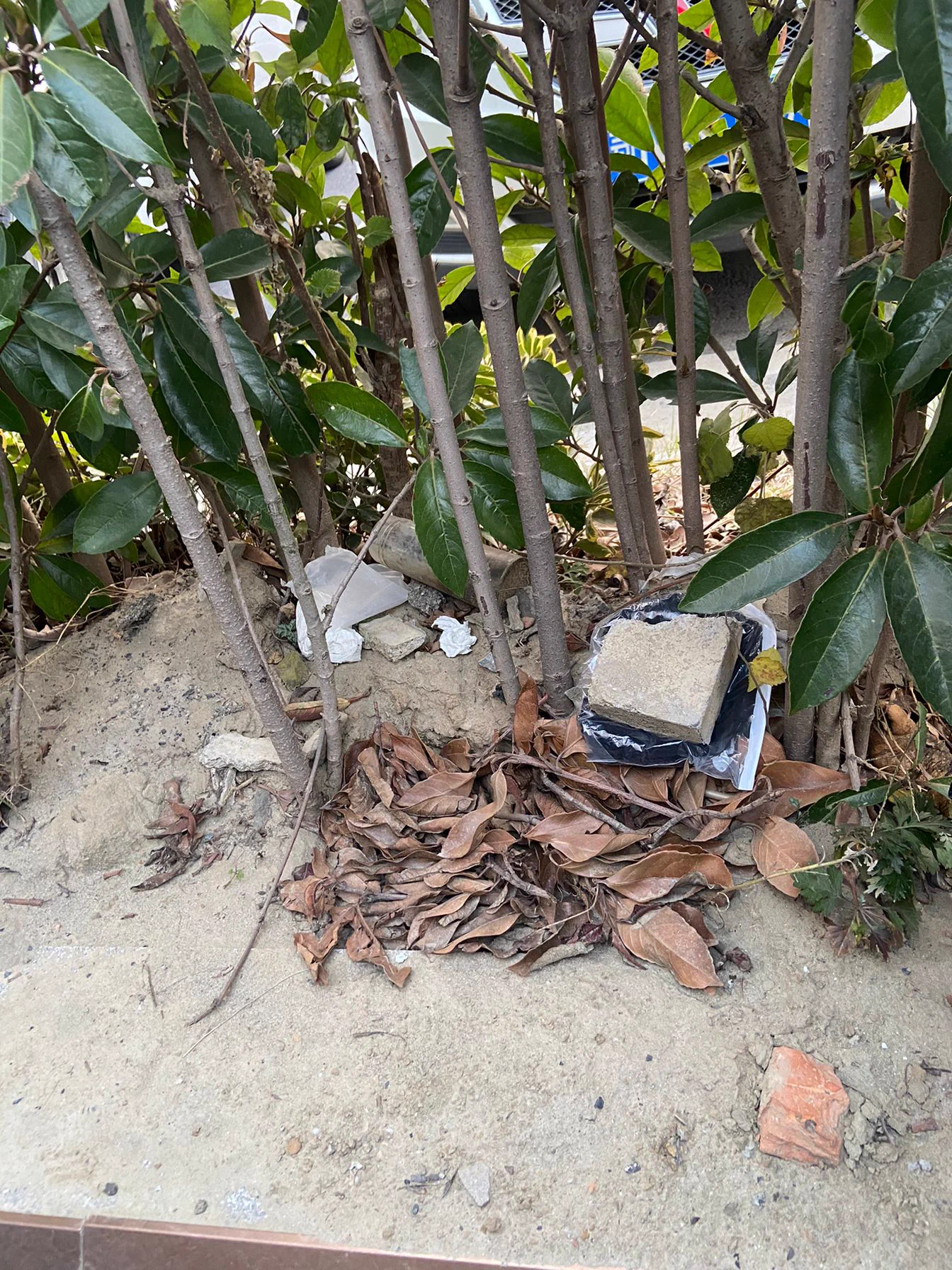 0728湖北潜江，投稿老哥安排了寻宝游戏，同好成功寻获安排的两双原味黑丝，拿回家直接射满。 https://t.co/42LBRPBa3A