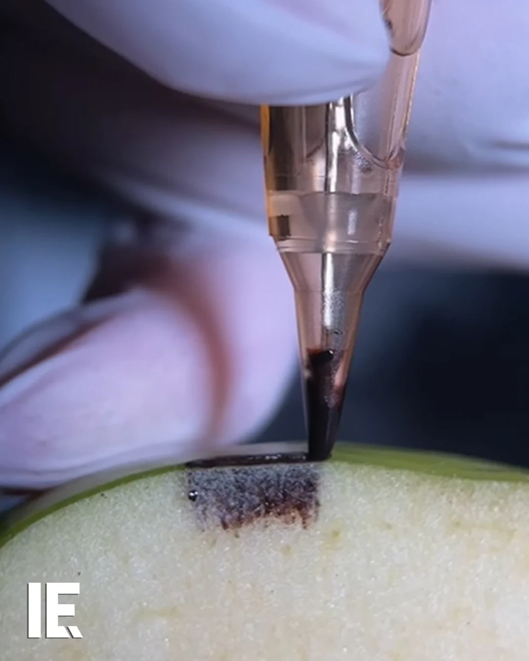 See the difference in tattooing techniques with this apple. 🎥: Instagram/aidana_ybraeva https://t.co/WIoyRiIOLk
