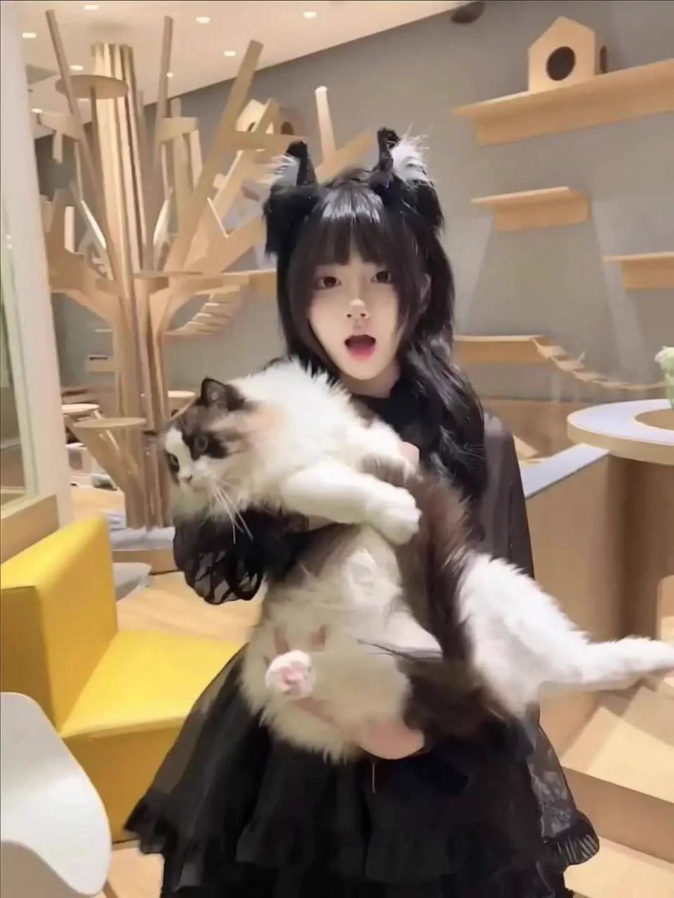 #上海 真人真照二次元美少女 日系初恋高中生反差乖乖女  皮肤雪白3点粉嫩身高162cm体重80斤🐻D. 06年家有jk 女仆 黑丝白丝#159#硬5 #浦东#萝莉 #白幼瘦 🛰️：niuniucos05🐧：97585594看照门槛🚪100（永久有效）备注zfb口令🧧添加➕✈️：https://t.co/Goj735dIz9 https://t.co/dLF76fDHRL
