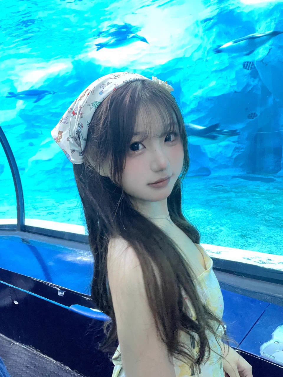 🌿Shenzhen🔝软萌妹身高166 体重86 🐻B 🥰全身雪白无纹身无疤痕🥰🐽🉑漫画腿 筷子腿🐽🉑 双马尾方向盘🐽🉑俏皮萝莉猫性二次元女友👚十几套各类型jk ➕各种情趣丝袜套装 ➕汉服➕洛丽塔➕海内外校服Tg全国交流群☞https://t.co/6y3Zqu037G https://t.co/6HOIekg1cw