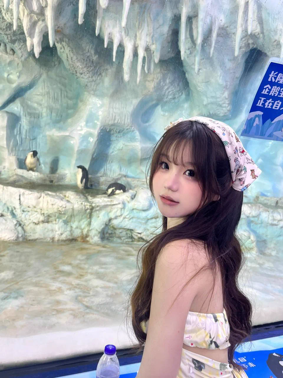 🌿Shenzhen🔝软萌妹身高166 体重86 🐻B 🥰全身雪白无纹身无疤痕🥰🐽🉑漫画腿 筷子腿🐽🉑 双马尾方向盘🐽🉑俏皮萝莉猫性二次元女友👚十几套各类型jk ➕各种情趣丝袜套装 ➕汉服➕洛丽塔➕海内外校服Tg全国交流群☞https://t.co/6y3Zqu037G https://t.co/6HOIekg1cw