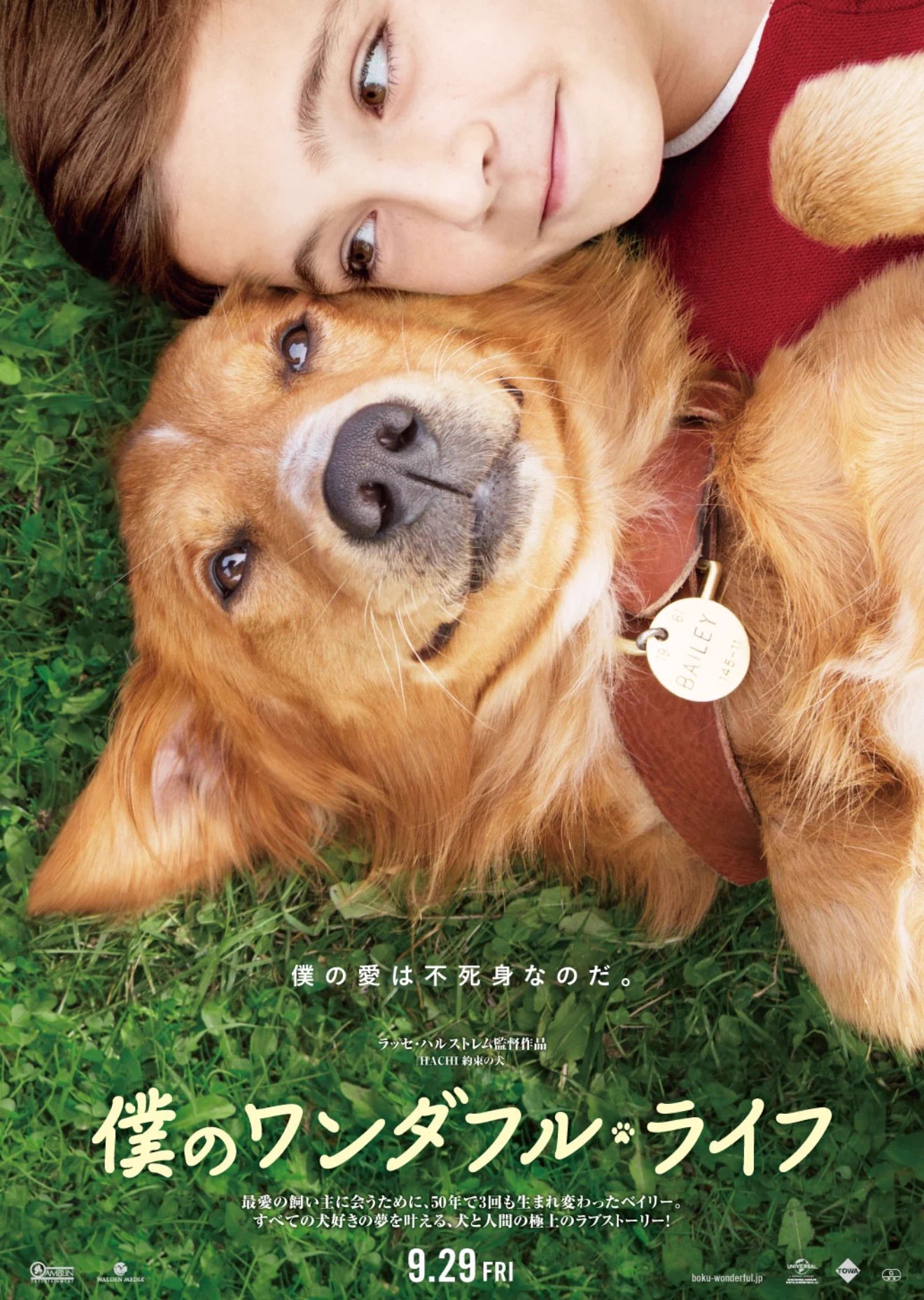 はぁ〜、ダメ🥲｢僕のワンダフルライフ｣この映画は何回見ても泣いてしまう… https://t.co/dZ6lYgFPRY