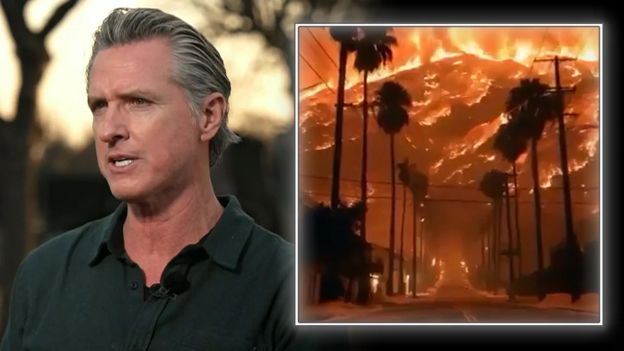 INSANE VIDEO: Watch The Man Most Responsible For The Worst Fires In California History— Gavin Newsom— Claim That He Has Now Launched An Investigation To Find Out Who's GuiltyWhen All He Has To Do Is Look In The Mirror» WATCH THE LIVE X STREAM HERE:https://t.co/O9k4zzjgzU https://t.co/Fx0v8qGQeZ