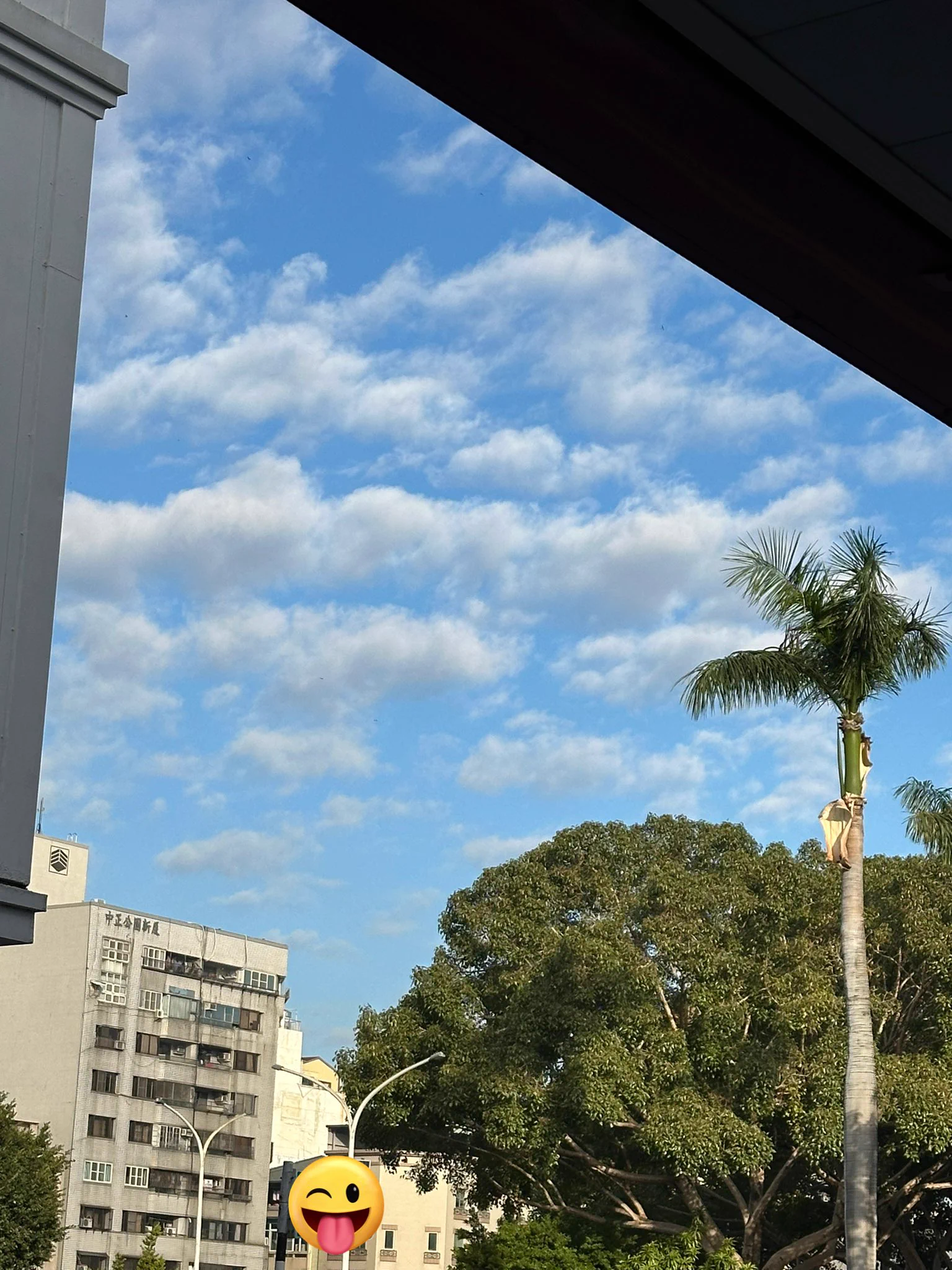 冬天的太陽暖暖的…嗯😐狗狗上班遲到了還在慢悠悠的走路…早安…注意保暖～暫時沒有狗狗自戀的拍照了🥹狗狗還笑不出來…心情憂鬱中… https://t.co/Yf0xBUJGOK