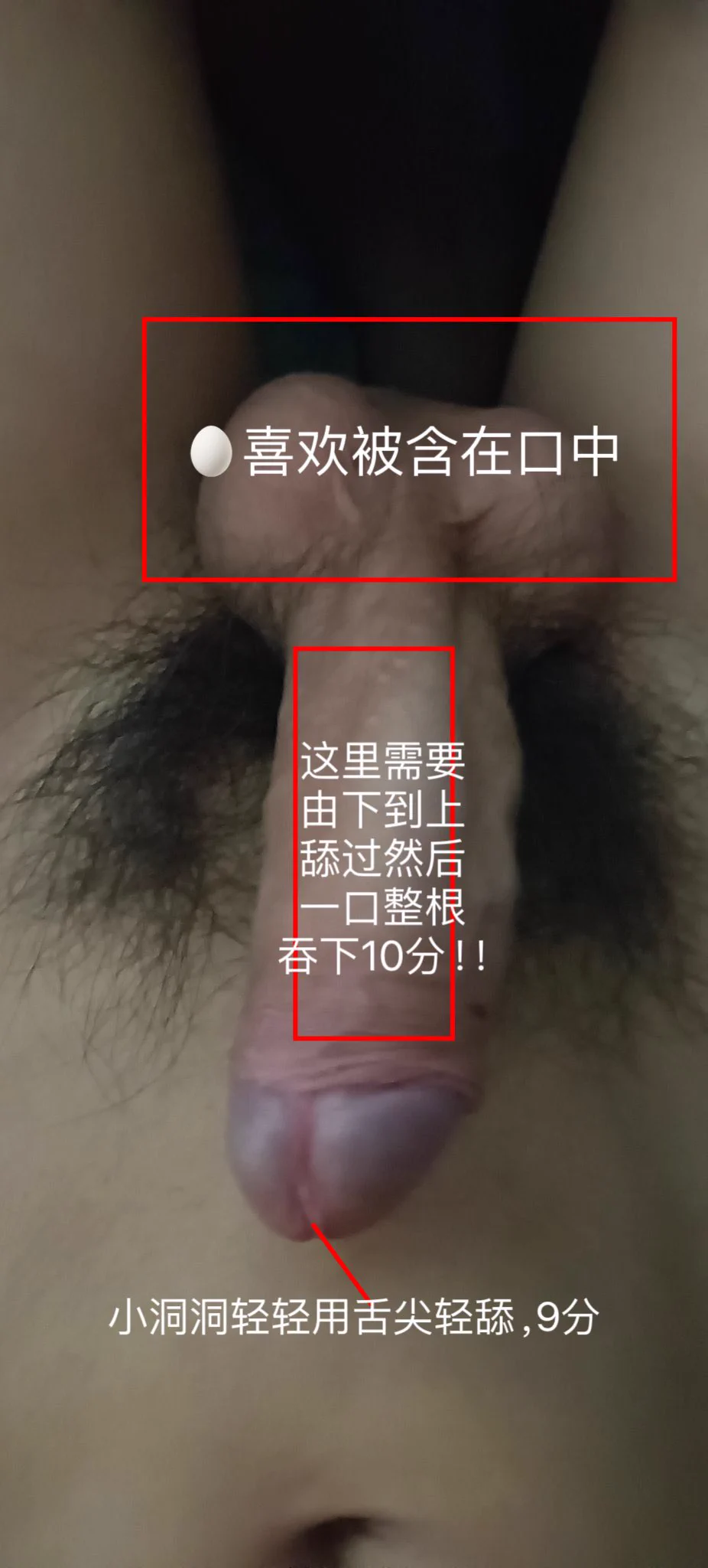 🌸来咯来咯~科普第七季来咯~❗这次征集了粉丝群里几位勇敢的宝宝出镜👏🏻👏🏻👏🏻👏🏻❗没选上的宝宝下次一定，毕竟推只能发四张（遗憾脸）❗但！感谢我的志愿者宝宝（鞠躬！！）🌸关于如何给男孩子口🫣，以及唧唧敏感分布位置🧐详情在图中哦~🌸首先介绍一下：1️⃣阴茎为前端膨大的圆柱体，分头、体、根三部分阴茎实体由两条阴茎海绵体和一条尿道海绵体组成，呈圆柱状。2️⃣阴茎海绵体位于阴茎的背侧，左右各一，两者紧密相连；尿道海绵体位于阴茎海绵体的腹侧，尿道贯穿其全长。阴茎海绵体内部由许多形似海绵样的腔隙组成。当腔隙充血时，阴茎即变粗变硬而勃起。3️⃣包绕阴茎头的阴茎皮肤，称为阴茎包皮。包皮与阴茎头连接的中间的皮肤褶皱，称包皮系带。🌸抱歉大家，这次呢就没有给大家拍详情方法教学，只是单纯的在过程中录了一段慢动作~不过下次一定补上，单纯的口爱动作方法教学！毕竟鱿鱼不露脸，拍起来比较费劲😂Ps详细方法已经写在了图中～Ps2下次一定补上完整的方式方法教学！！！Ps3请忽略我的睡衣和没化妆的脸！！Ps4最后再次感谢所有投稿的宝宝，爱你们哟~@DaFoer_@Daguidiyi@Fojiangnice@Xiaoxiaofoer