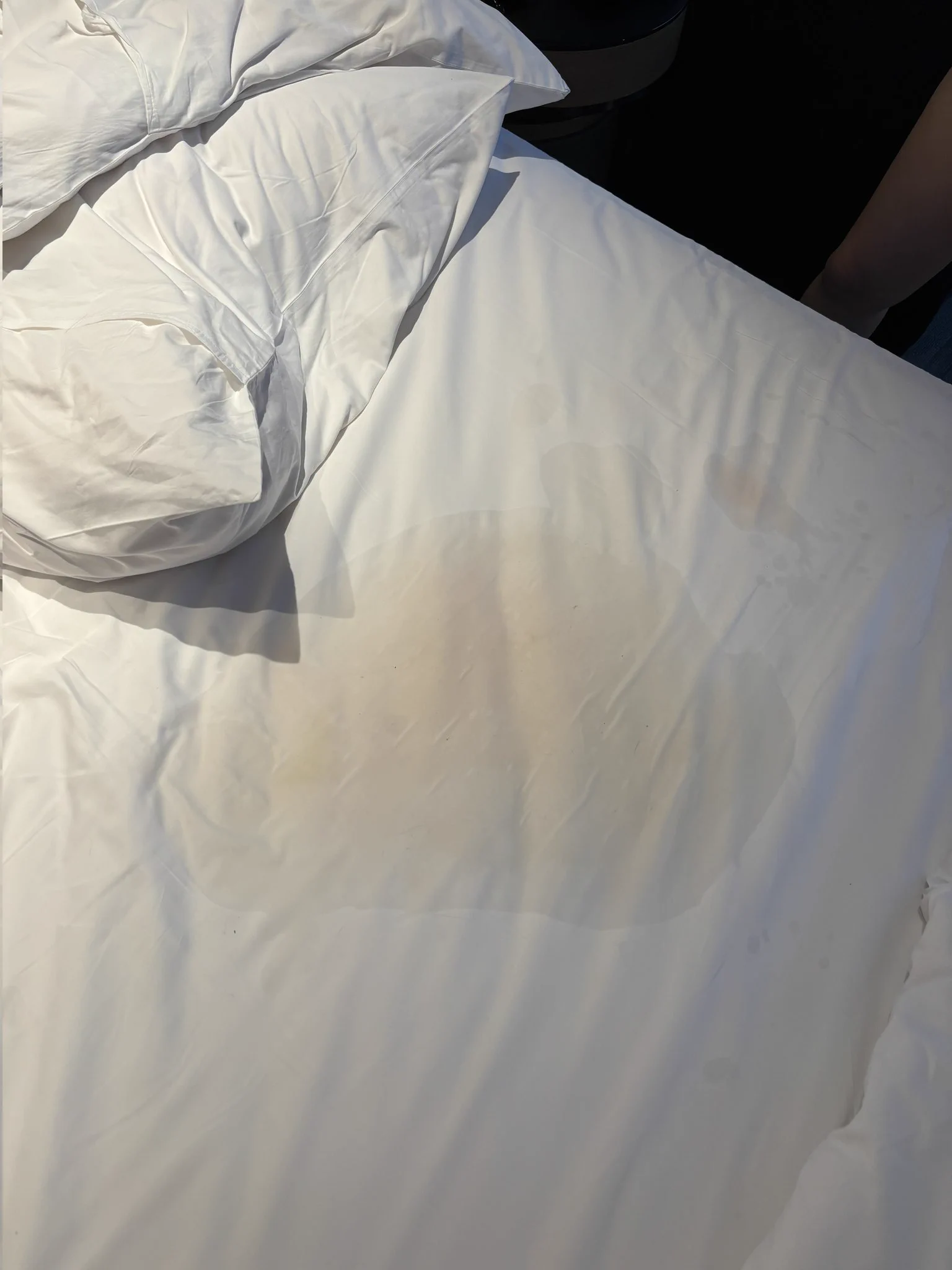 和女神约个会，喷水量再创新高，我俩都默默掏出手机拍照打卡。😂😂😂@color_fa8072 https://t.co/RaaQwk9L5D