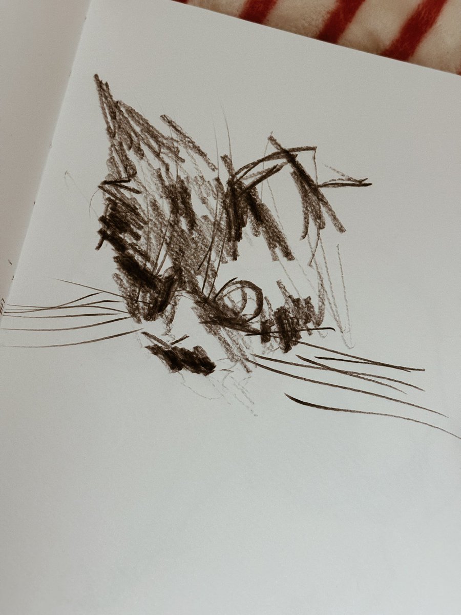 對著元首寫生 https://t.co/5OkfIpyKgC