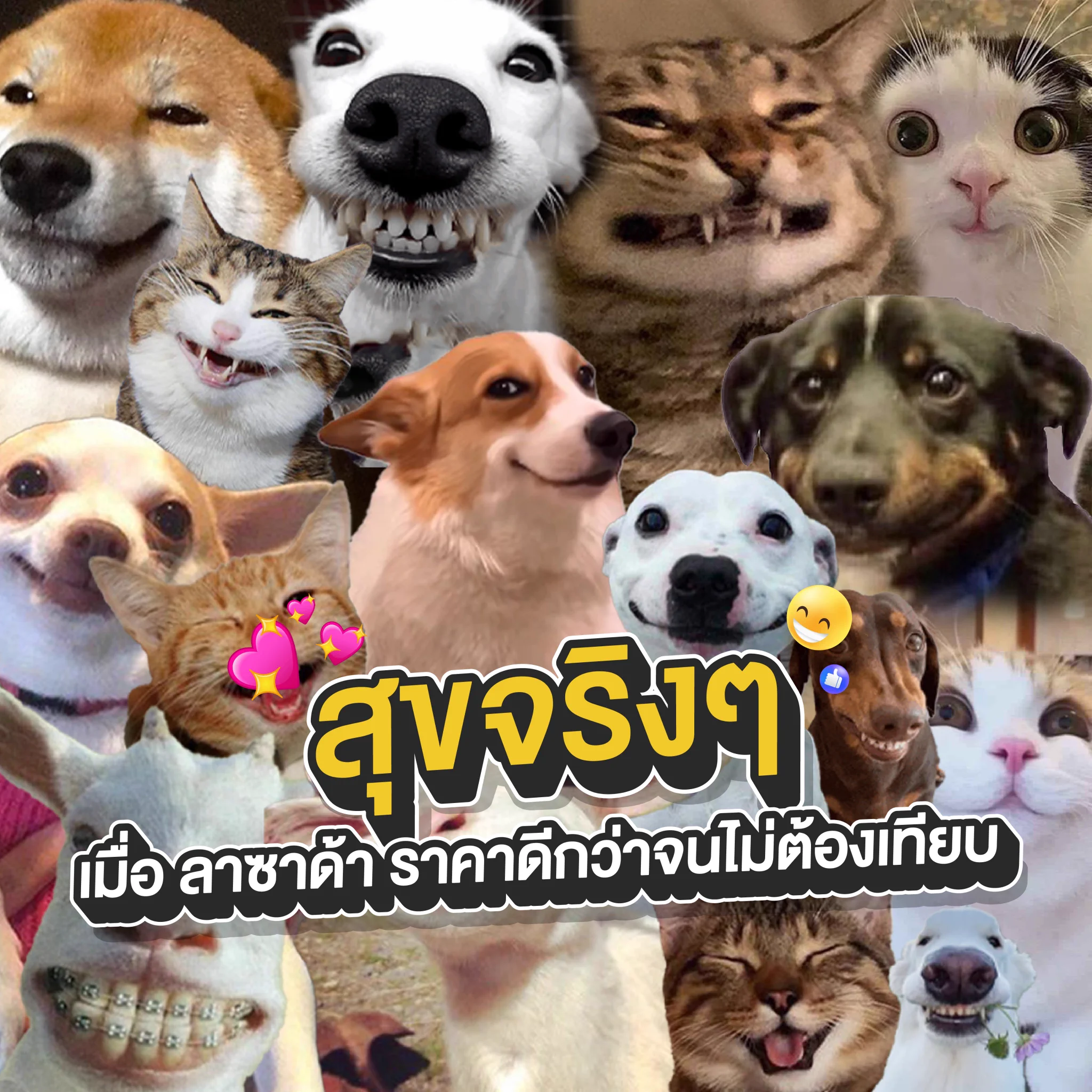 😊 ฉันรู้ว่าเธอจะยิ้มแบบไหน ตอนราคาเธอดีกว่าใคร🤩 บ้าจริง! กดเข้าลาซาด้า แล้วมันหยุดยิ้มมมม ไม่ได้เลย ✅ เพราะลาซาด้า ราคาดีกว่า ไม่ต้องเทียบ!📲 มาช้อปกันเลย : https://t.co/xmGz7Iy3hc#LazadaTH #ลาซาด้าราคาดีกว่าไม่ต้องเทียบ #การันตีราคาถูก https://t.co/Y5CWHp4ucY