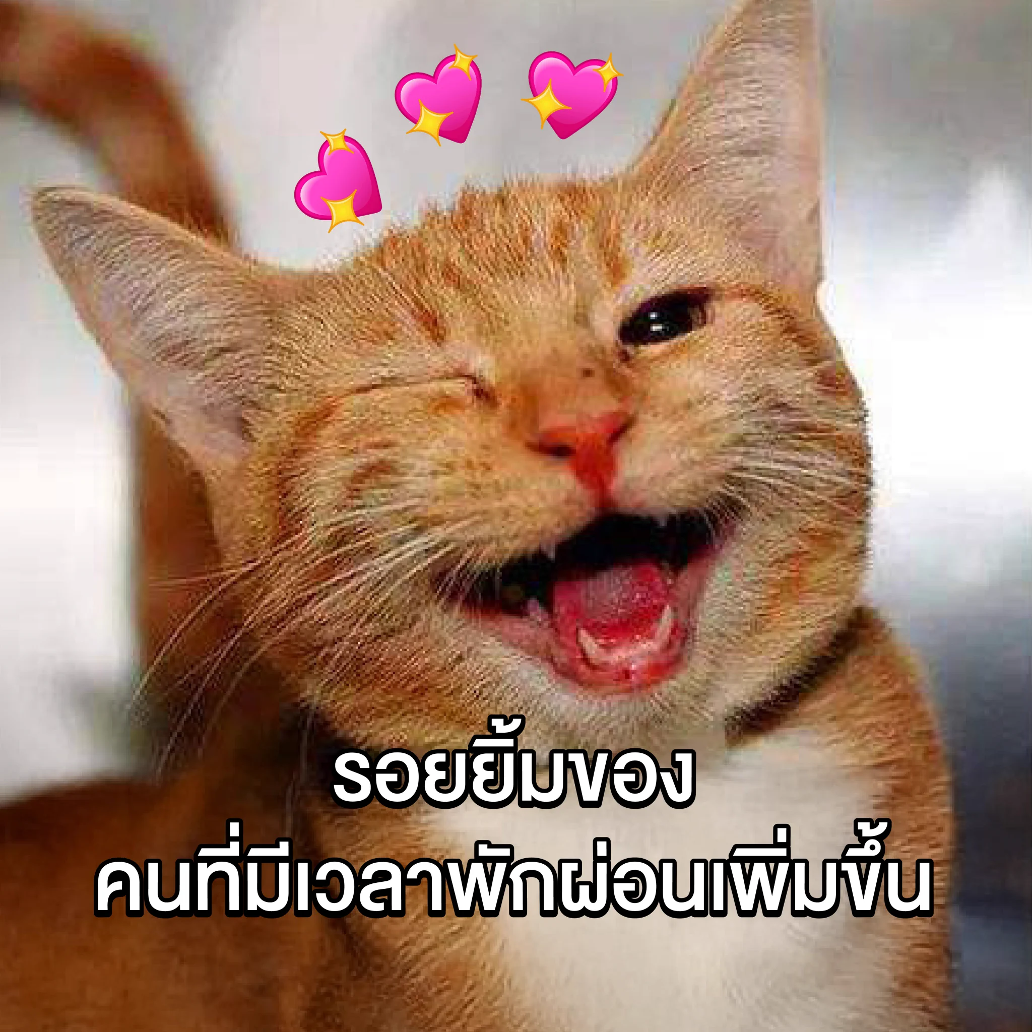 😊 ฉันรู้ว่าเธอจะยิ้มแบบไหน ตอนราคาเธอดีกว่าใคร🤩 บ้าจริง! กดเข้าลาซาด้า แล้วมันหยุดยิ้มมมม ไม่ได้เลย ✅ เพราะลาซาด้า ราคาดีกว่า ไม่ต้องเทียบ!📲 มาช้อปกันเลย : https://t.co/xmGz7Iy3hc#LazadaTH #ลาซาด้าราคาดีกว่าไม่ต้องเทียบ #การันตีราคาถูก https://t.co/Y5CWHp4ucY