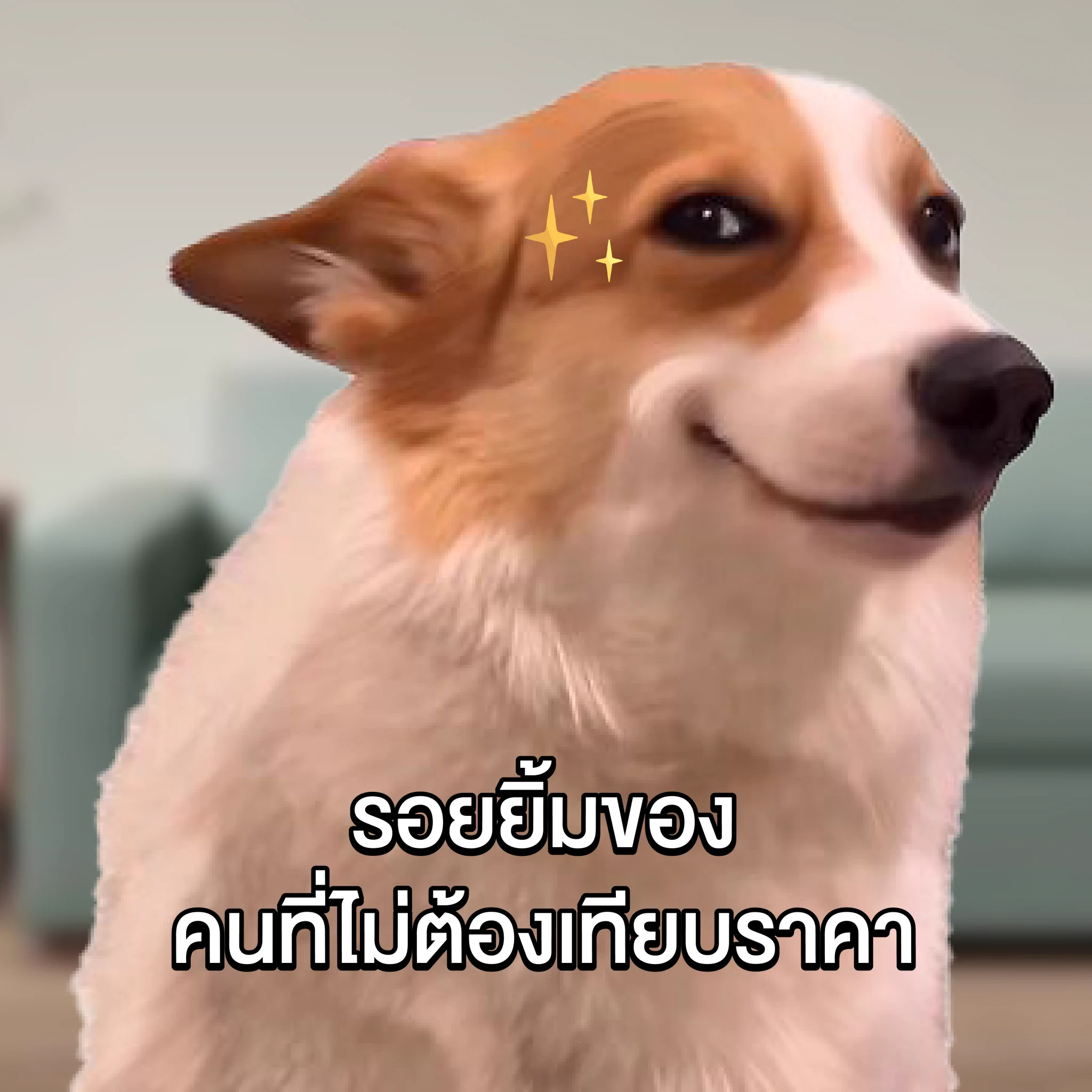 😊 ฉันรู้ว่าเธอจะยิ้มแบบไหน ตอนราคาเธอดีกว่าใคร🤩 บ้าจริง! กดเข้าลาซาด้า แล้วมันหยุดยิ้มมมม ไม่ได้เลย ✅ เพราะลาซาด้า ราคาดีกว่า ไม่ต้องเทียบ!📲 มาช้อปกันเลย : https://t.co/xmGz7Iy3hc#LazadaTH #ลาซาด้าราคาดีกว่าไม่ต้องเทียบ #การันตีราคาถูก https://t.co/Y5CWHp4ucY