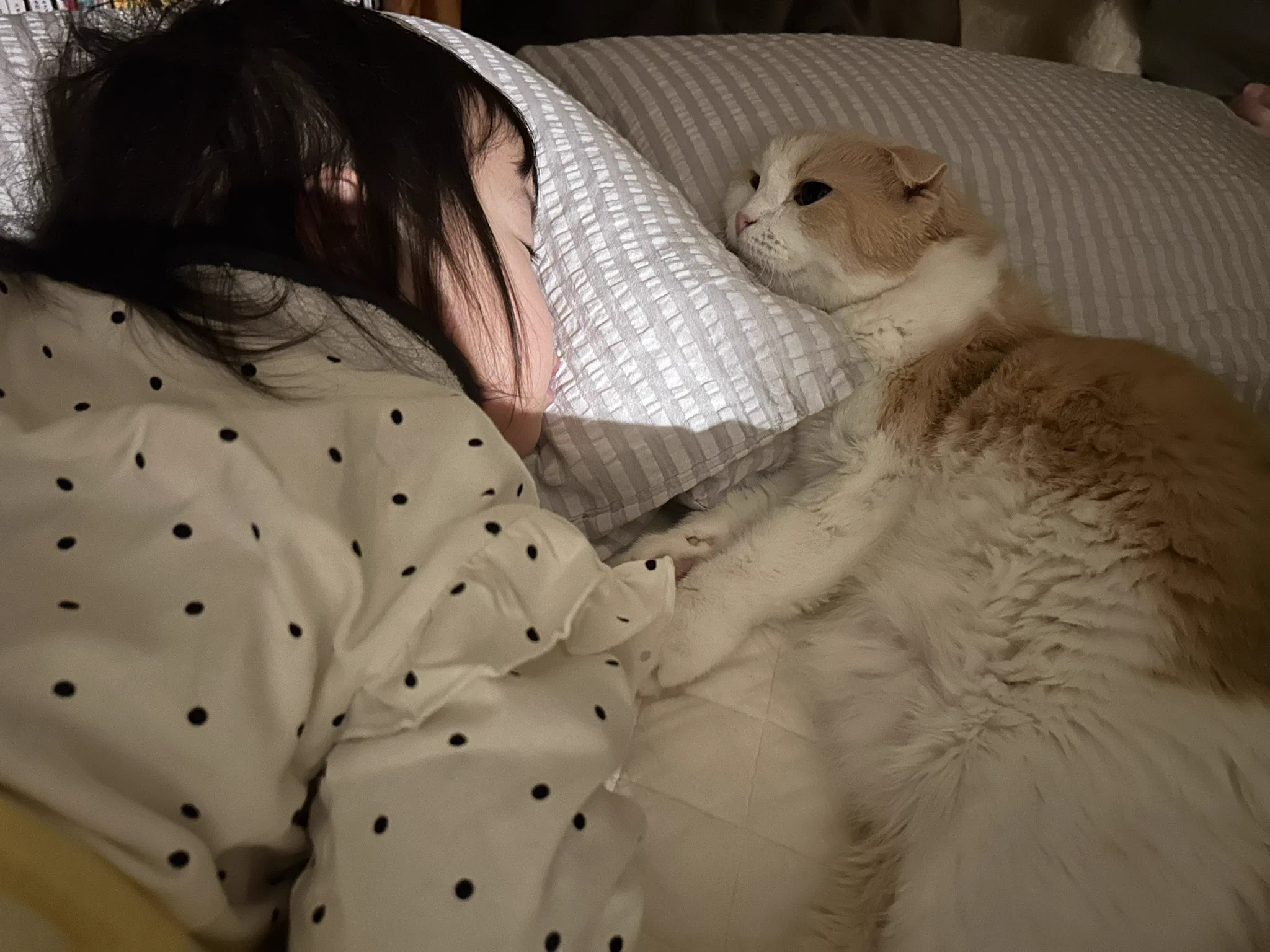 亡くなる2時間ほど前。私の枕元にブランケットを敷いて一緒に寝ようと思ったら力を振り絞ってヨロヨロとベッドを降り、スヤスヤ眠る小さな子の横に向かいました自分から近寄ることはあまりなかったのでビックリしました。ゆきおちゃんから託されていたのかな https://t.co/uFzfNOznw7