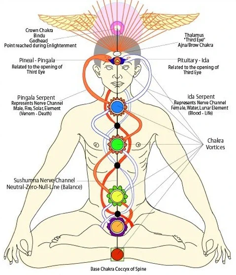 如果你性欲旺盛又不懂得控制的话，你会浪费大量的能量性能量是你最大的力量源泉。 一旦你掌握了它，一切都会改变。 让我解释一下其中的奥秘： 🧵 https://t.co/lFzYxbniJP