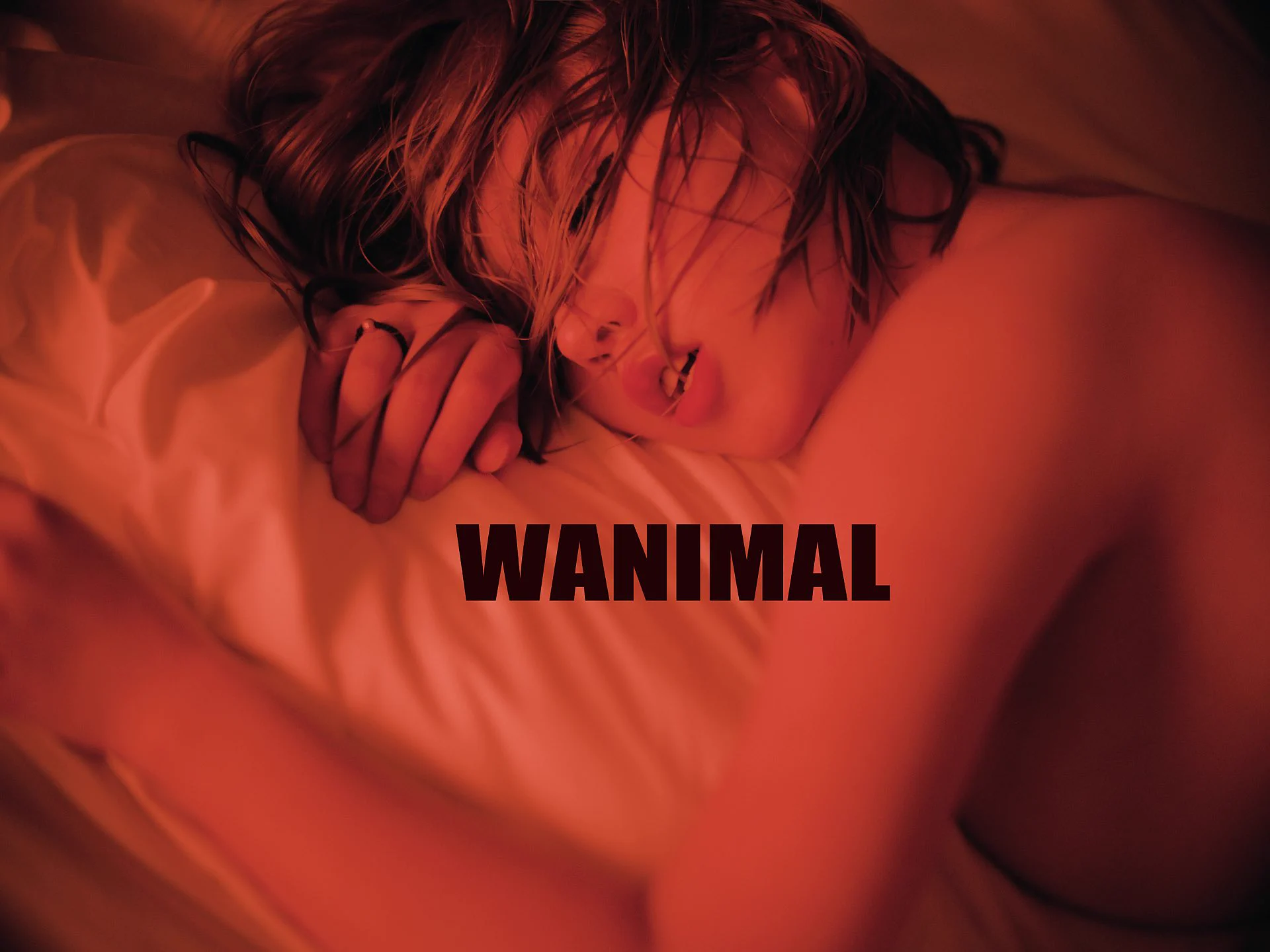 WANIMAL ART 交流群月費105 年費1050 確認加群的回復 1WANIMAL MATE@chen17_7 https://t.co/D9IUZH2o6V