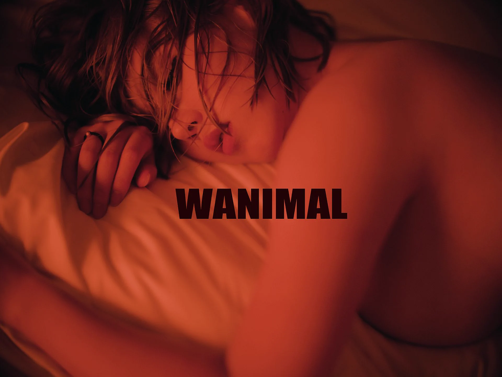 WANIMAL ART 交流群月費105 年費1050 確認加群的回復 1WANIMAL MATE@chen17_7 https://t.co/D9IUZH2o6V