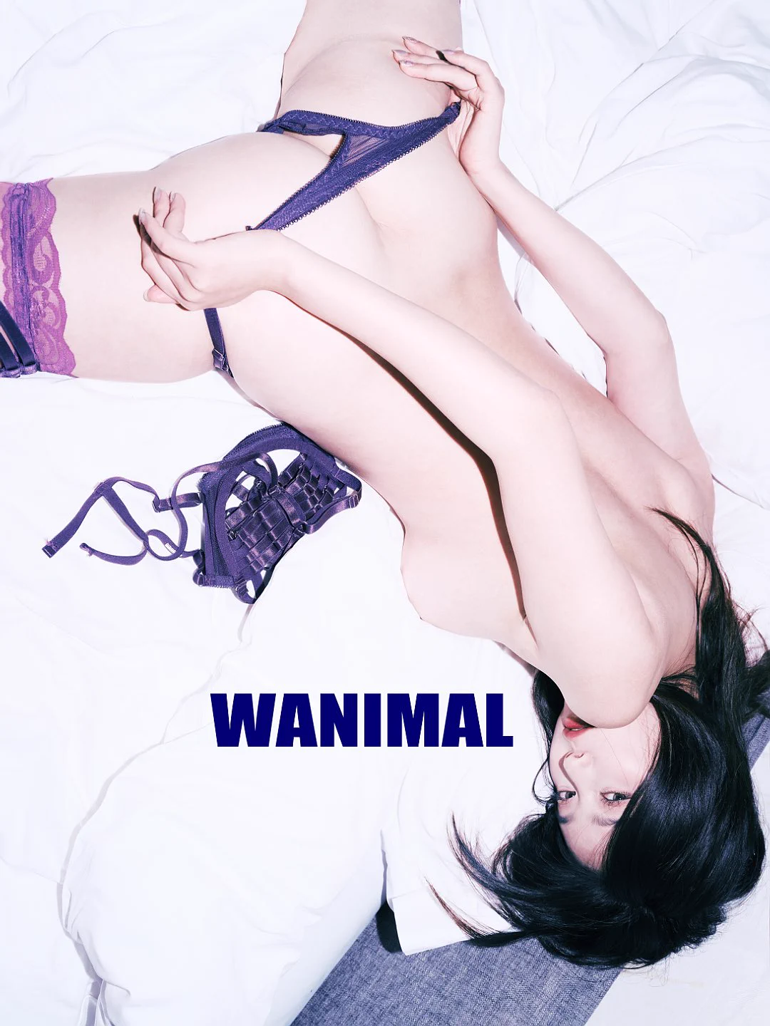 WANIMAL ART 交流群月費105 年費1050 確認加群的回復 1WANIMAL MATE@nnian_ https://t.co/SFi6Aq5Gag