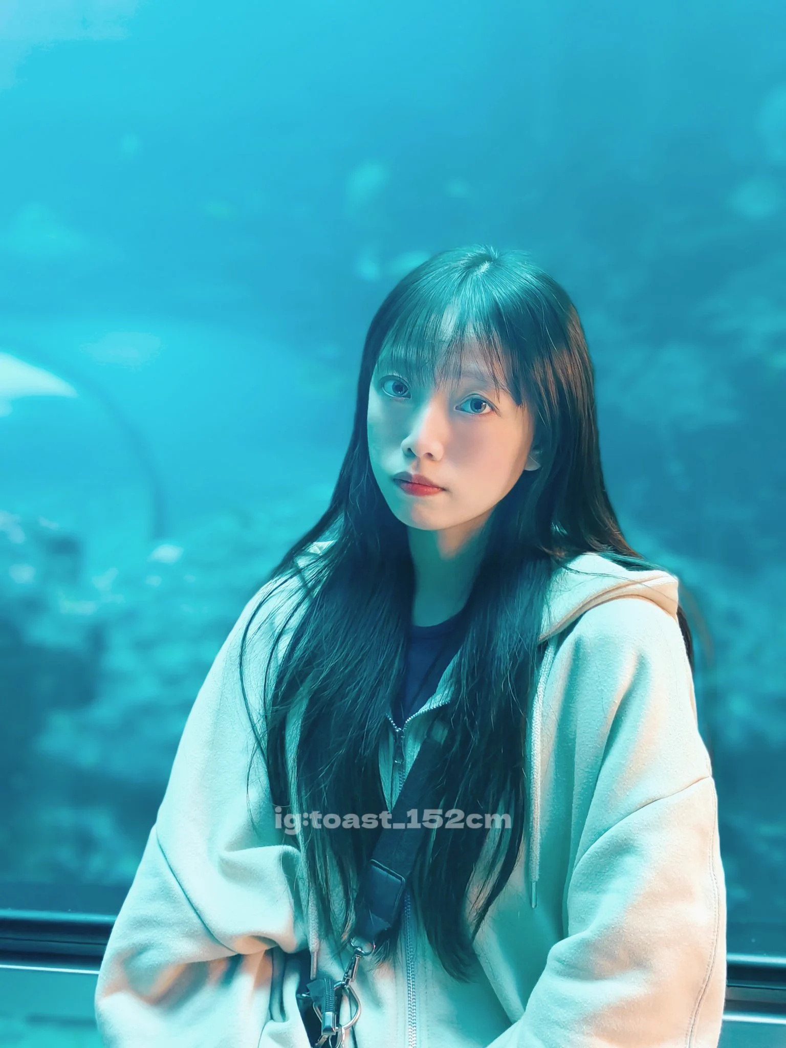 今天去看魚ദ്ദി ˃ ᵕ ˂ ) https://t.co/DklDlwh7WL