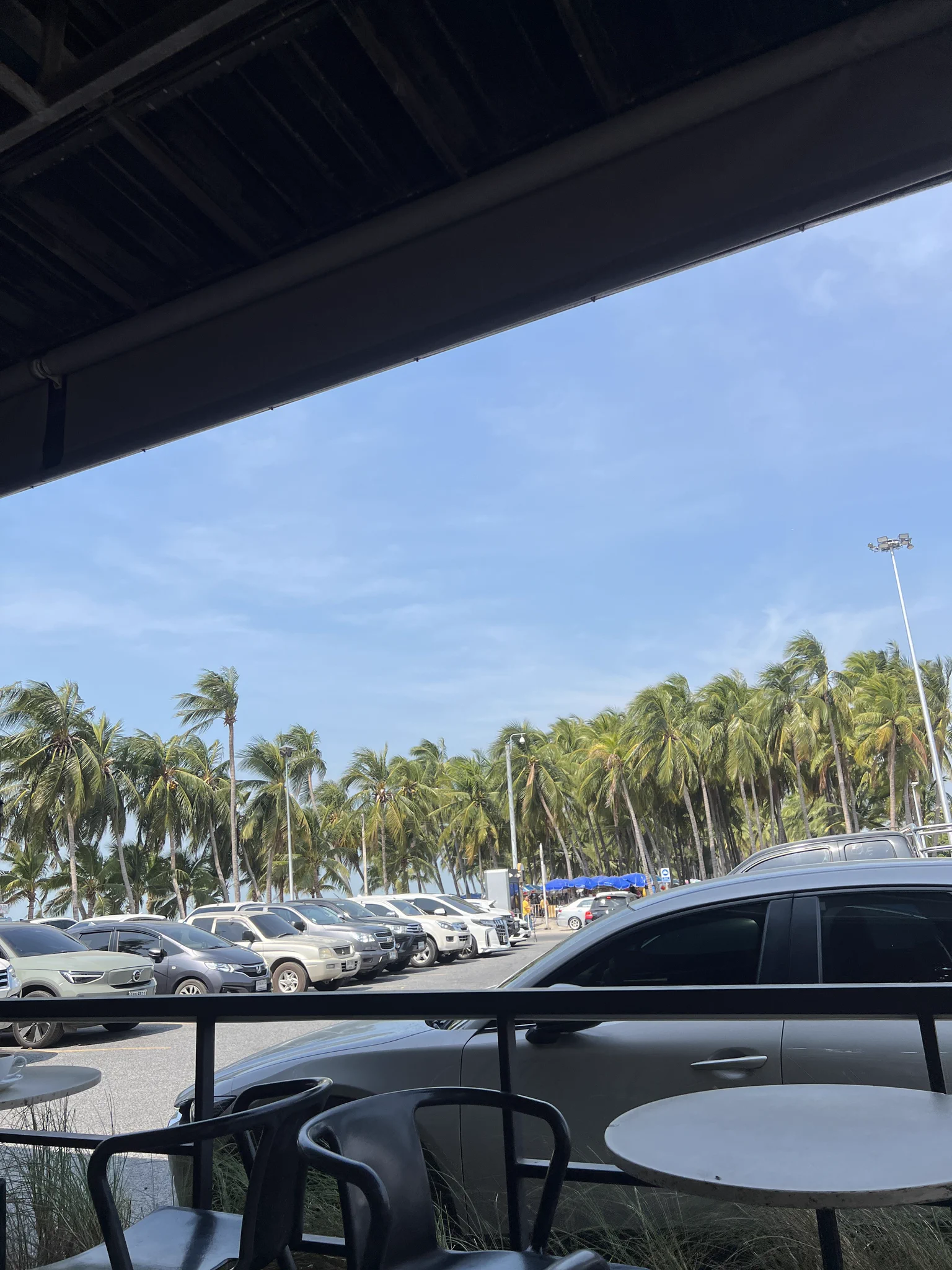 บางแสนนัดเย็ด👀 https://t.co/QRDgI28ODj